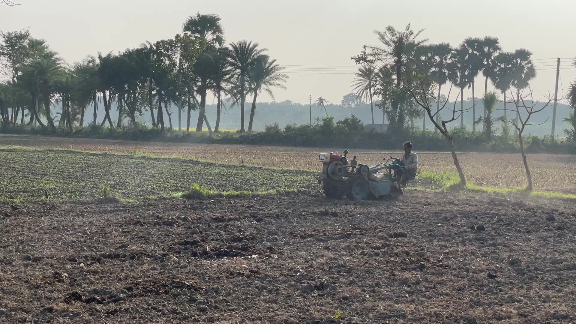 Daily life in Magura