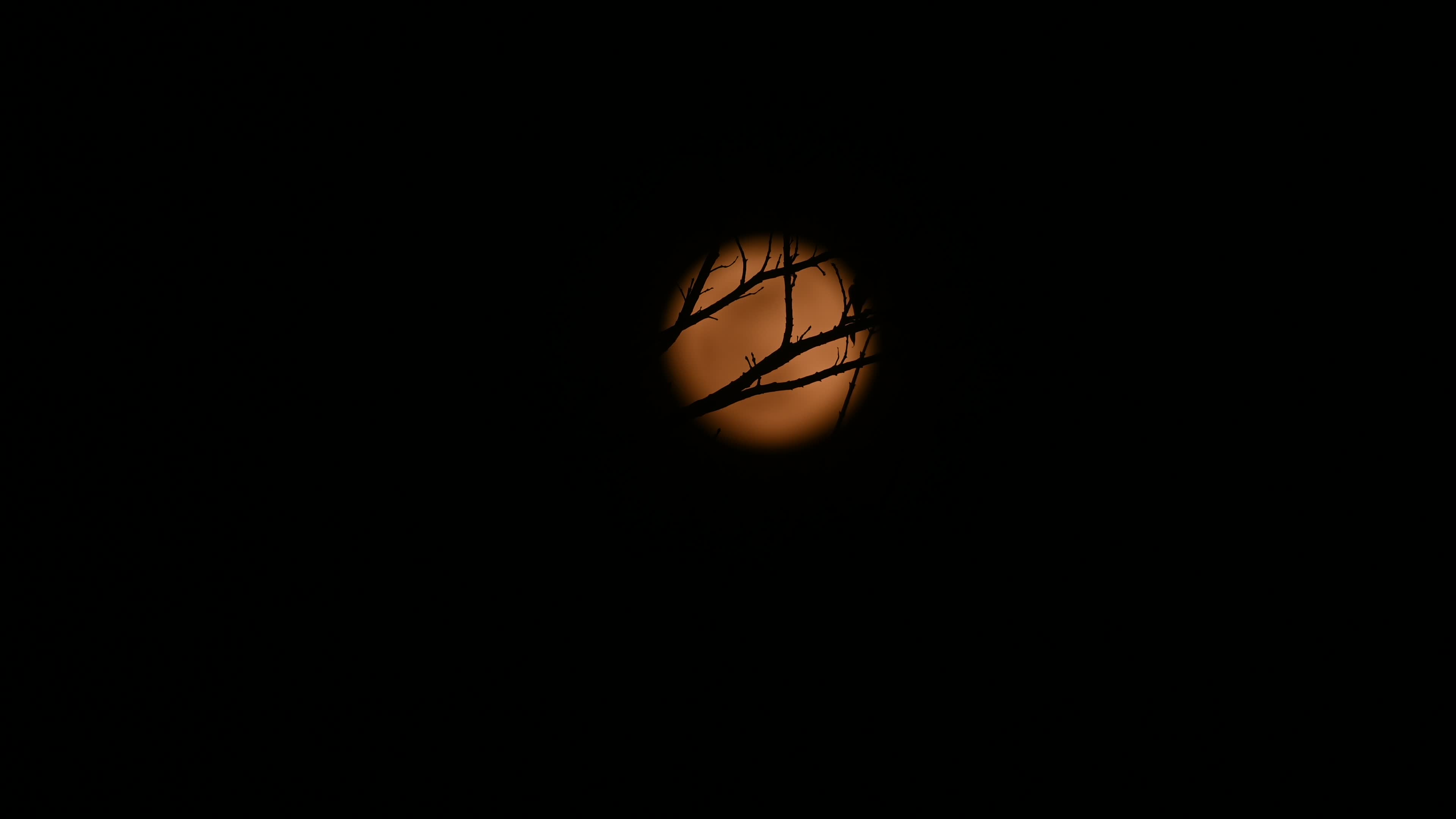  Cold Moon 2024: Rare Lunar Event - The Last Full Moon
