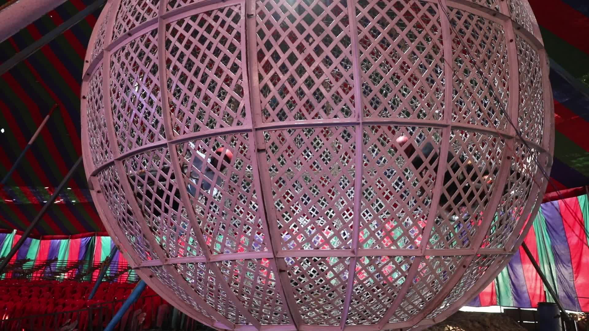 Circus Show In Kolkata, India 