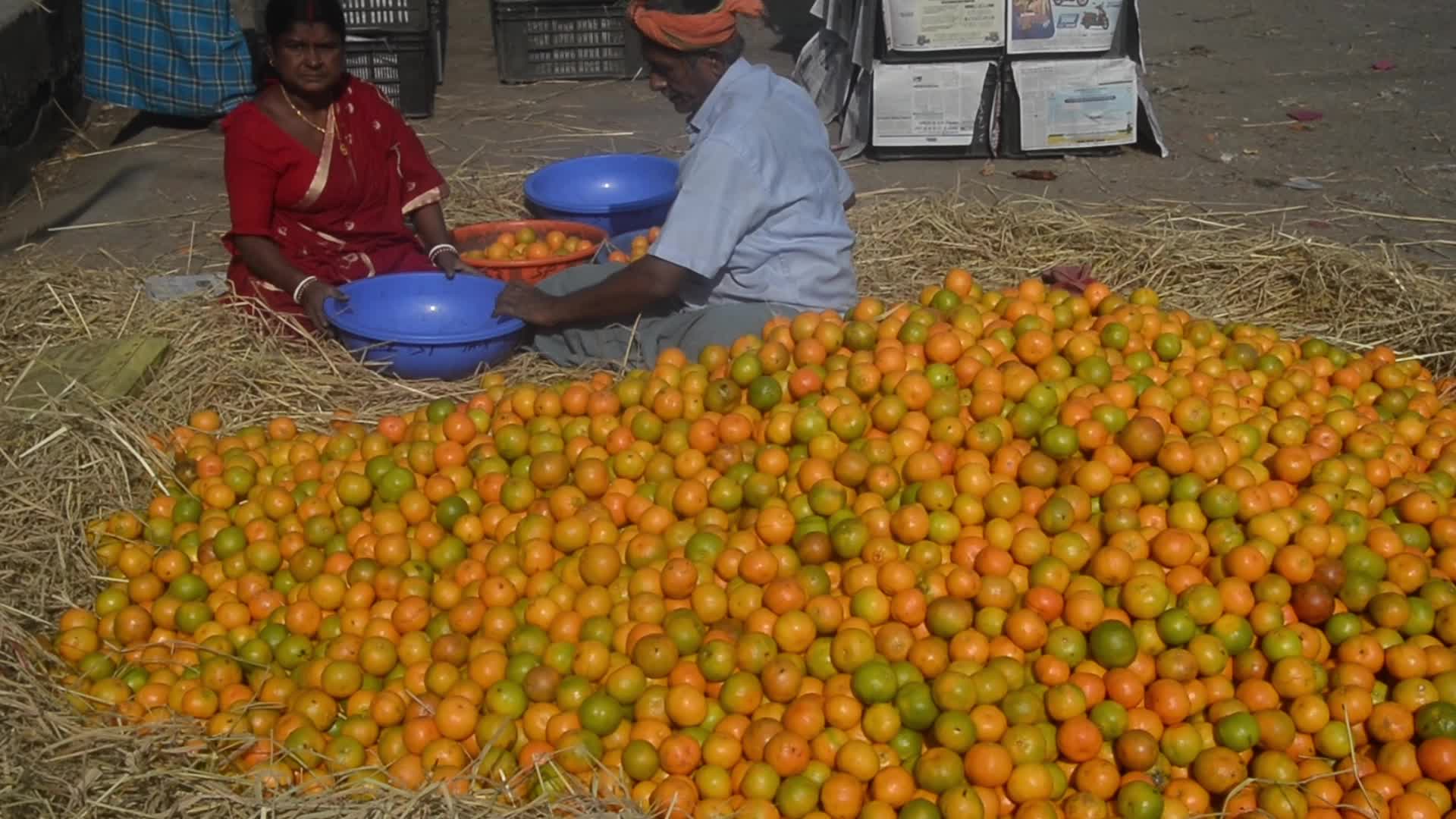 India Economy Fruit Oranges
