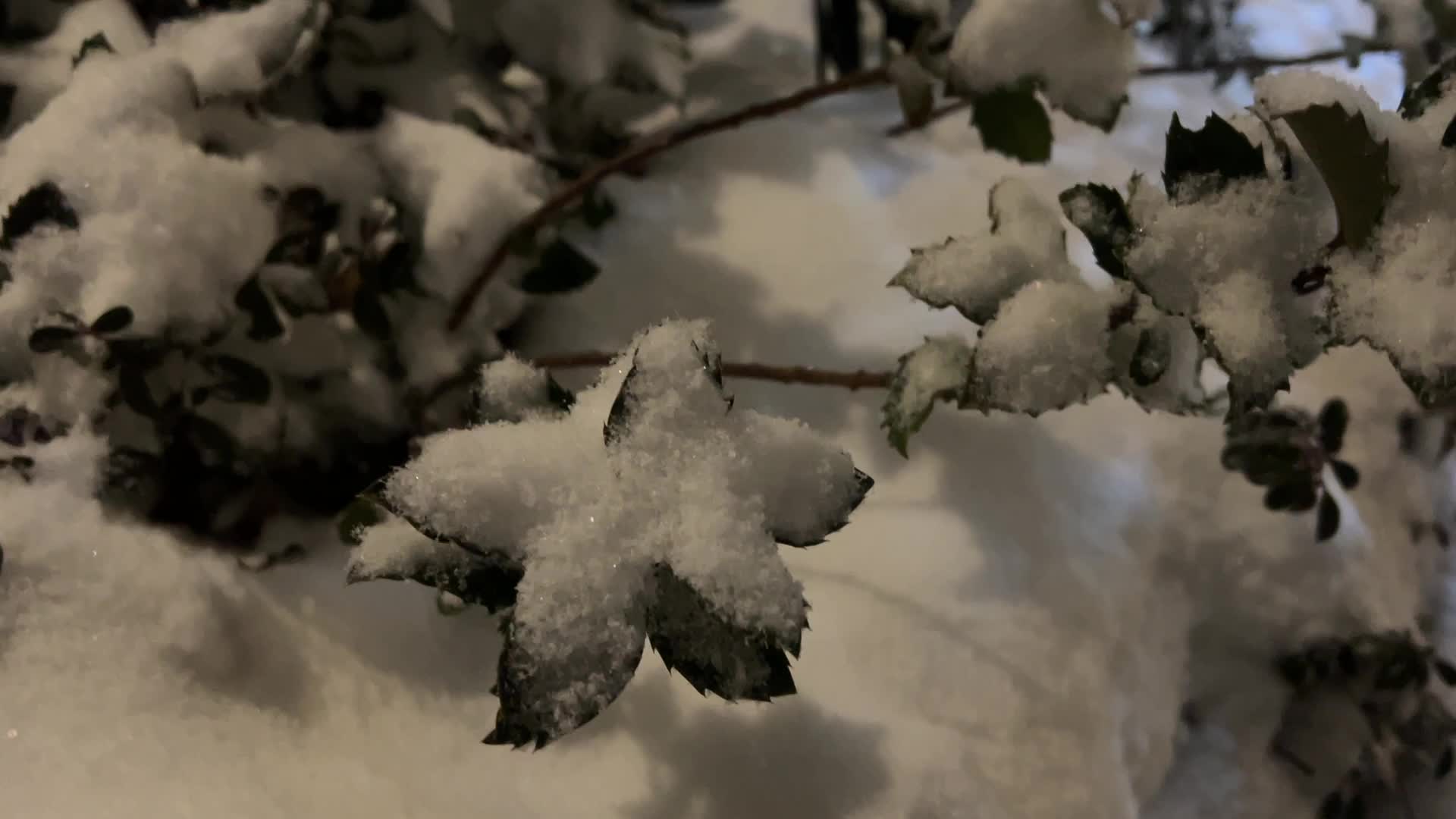 Winter snowstorm in Toronto, Canada