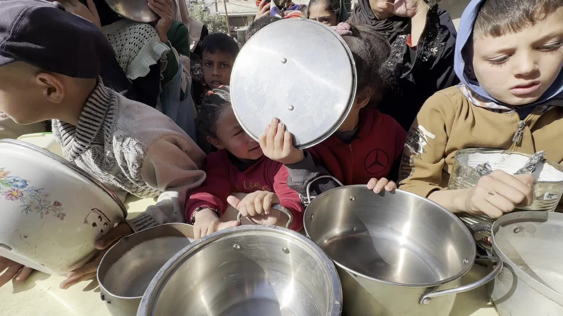 Food Aid in Gaza Amid Hunger Crisis