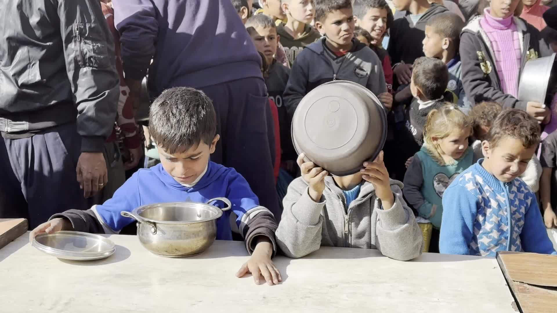 Food Aid in Gaza Amid Hunger Crisis