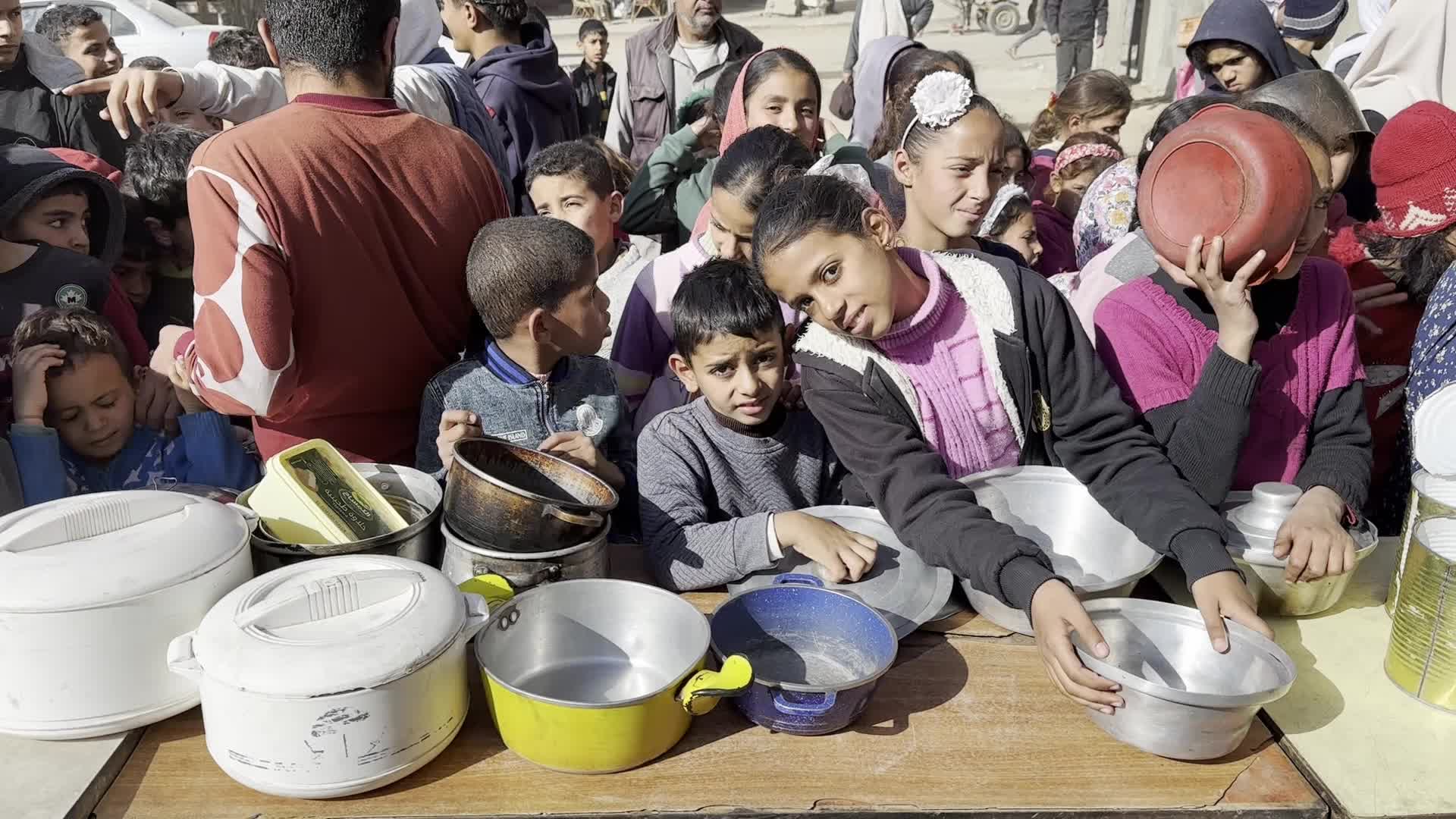 Food Aid in Gaza Amid Hunger Crisis