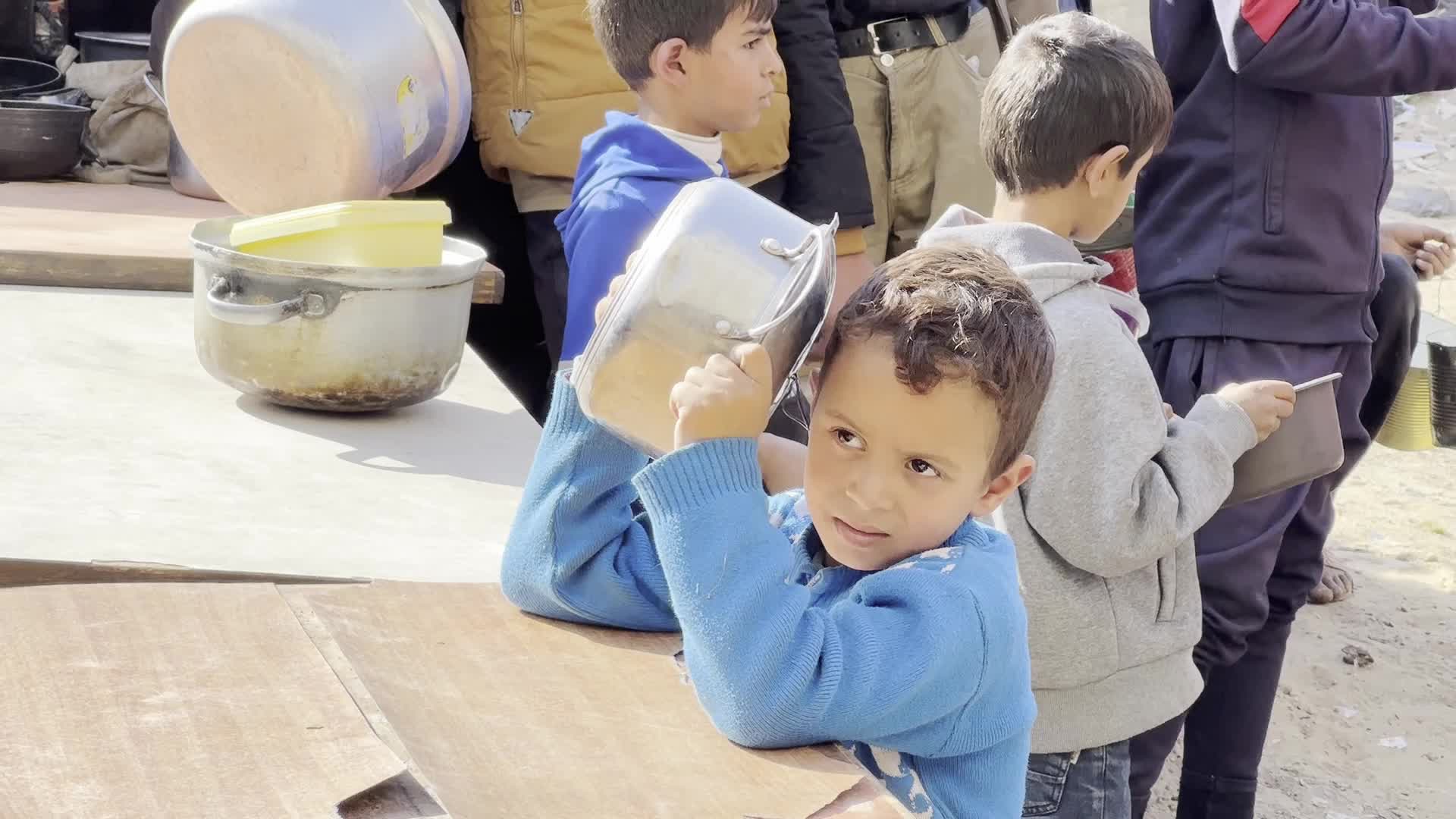 Food Aid in Gaza Amid Hunger Crisis