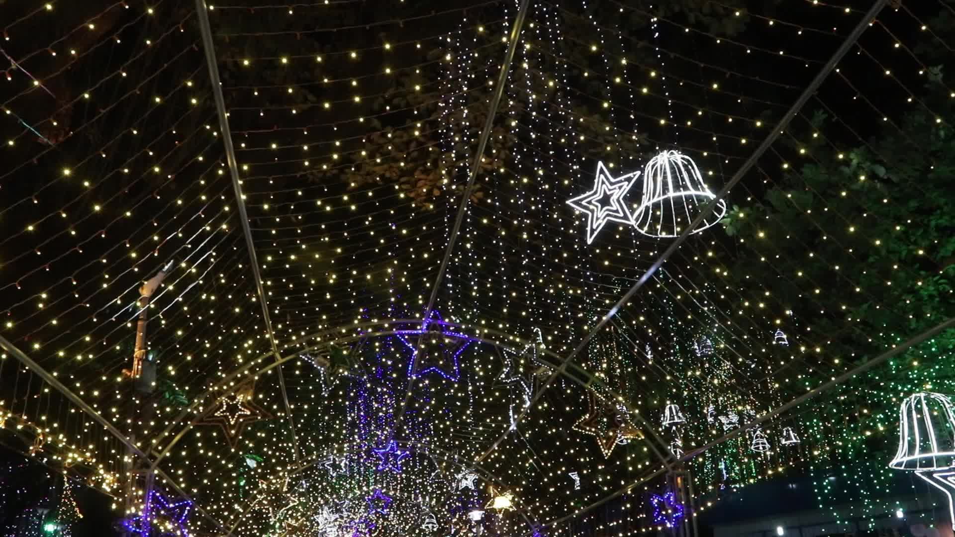 Christmas Lights In India