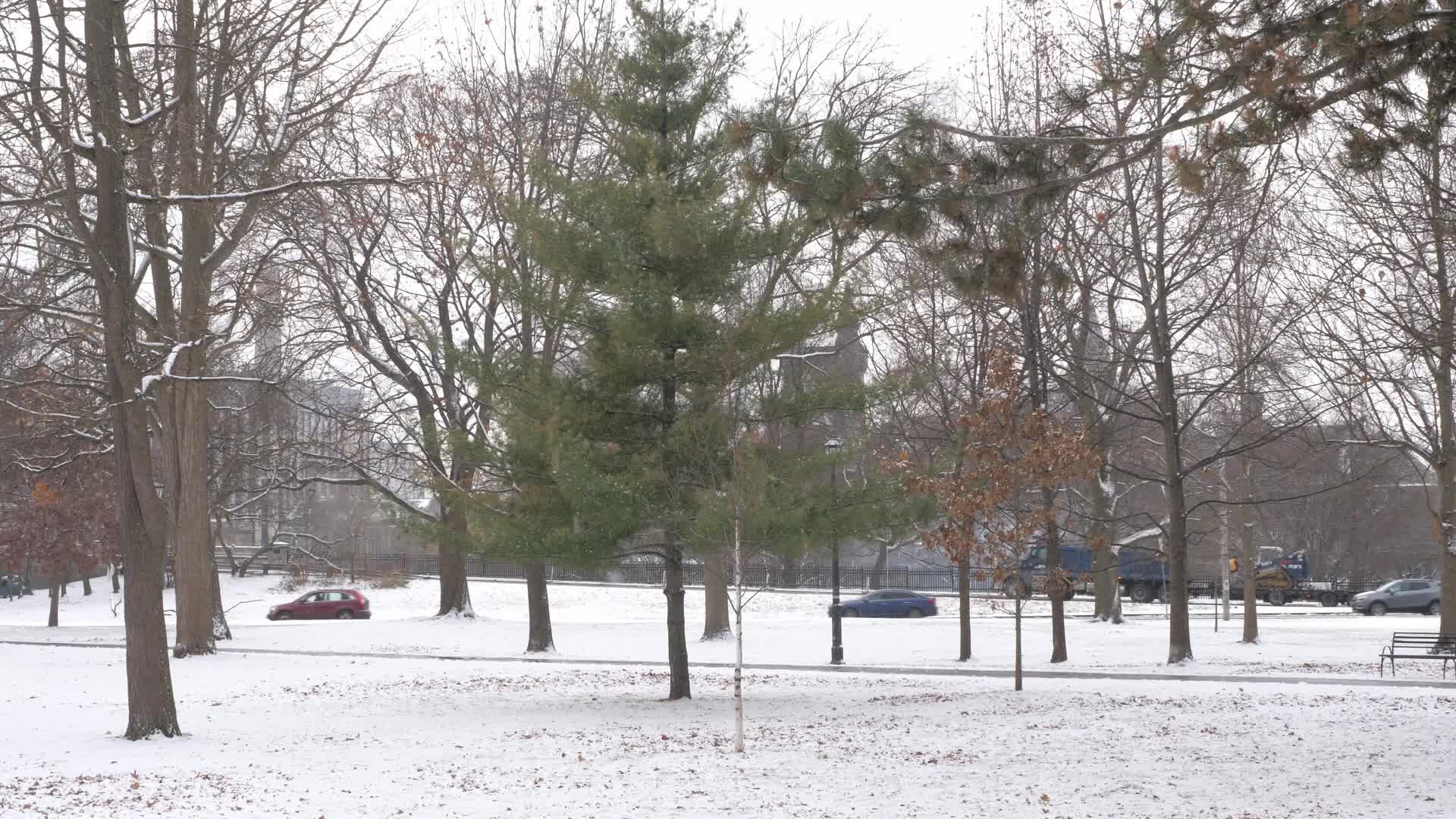 Frigid Temperatures And Snowy Weather In Toronto