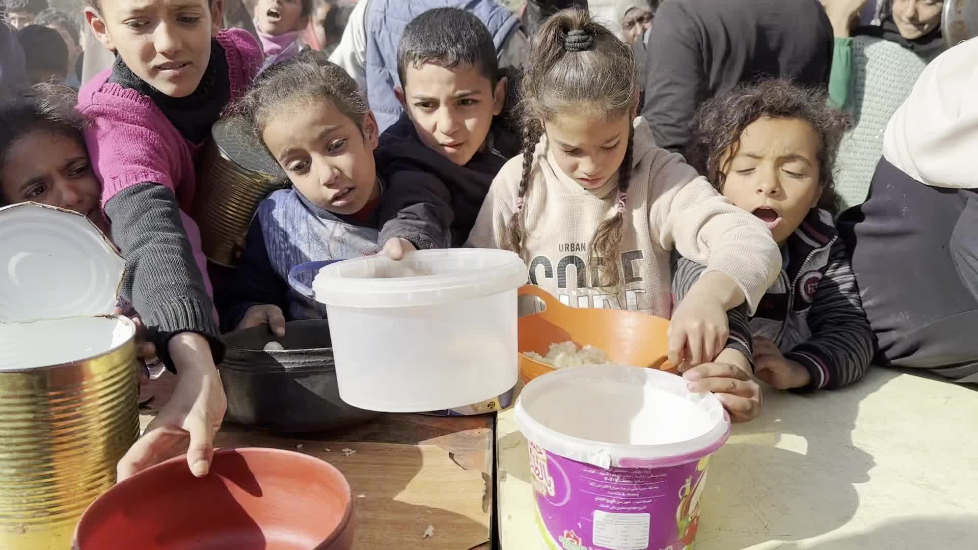 Food Aid in Gaza Amid Hunger Crisis