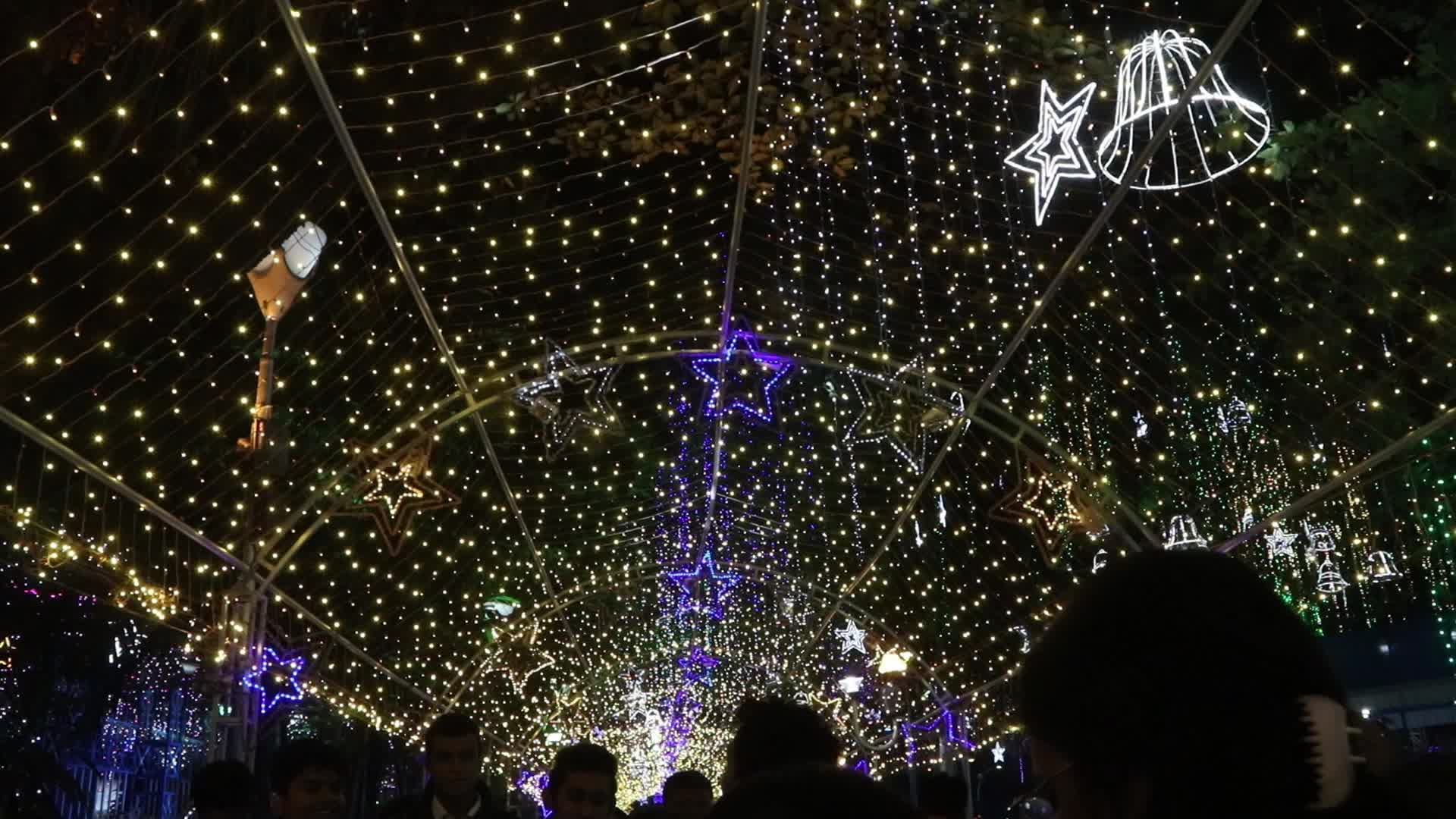 Christmas Lights In India