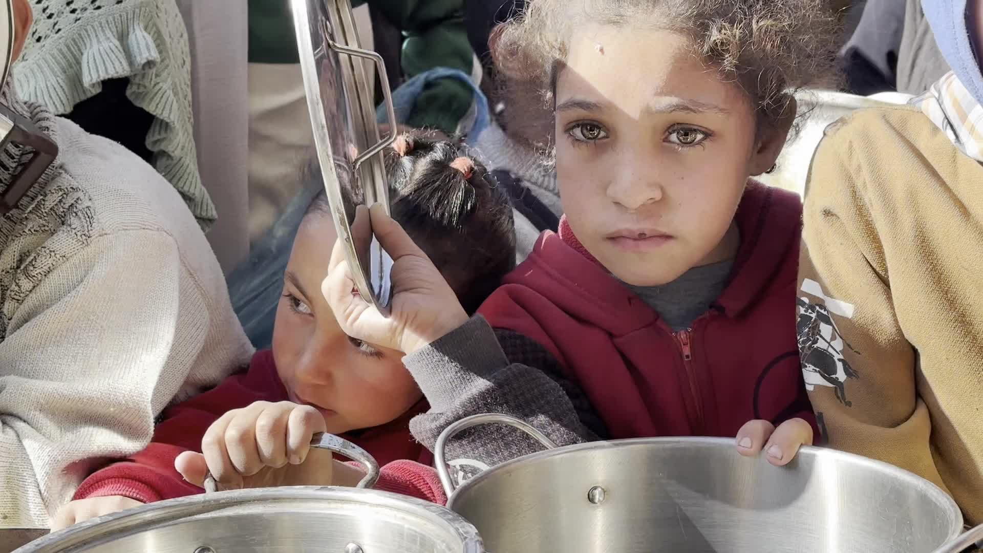 Food Aid in Gaza Amid Hunger Crisis