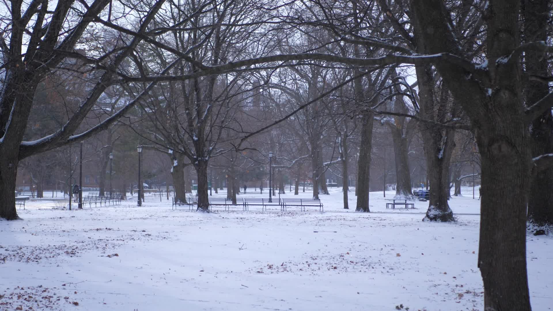 Frigid Temperatures And Snowy Weather In Toronto