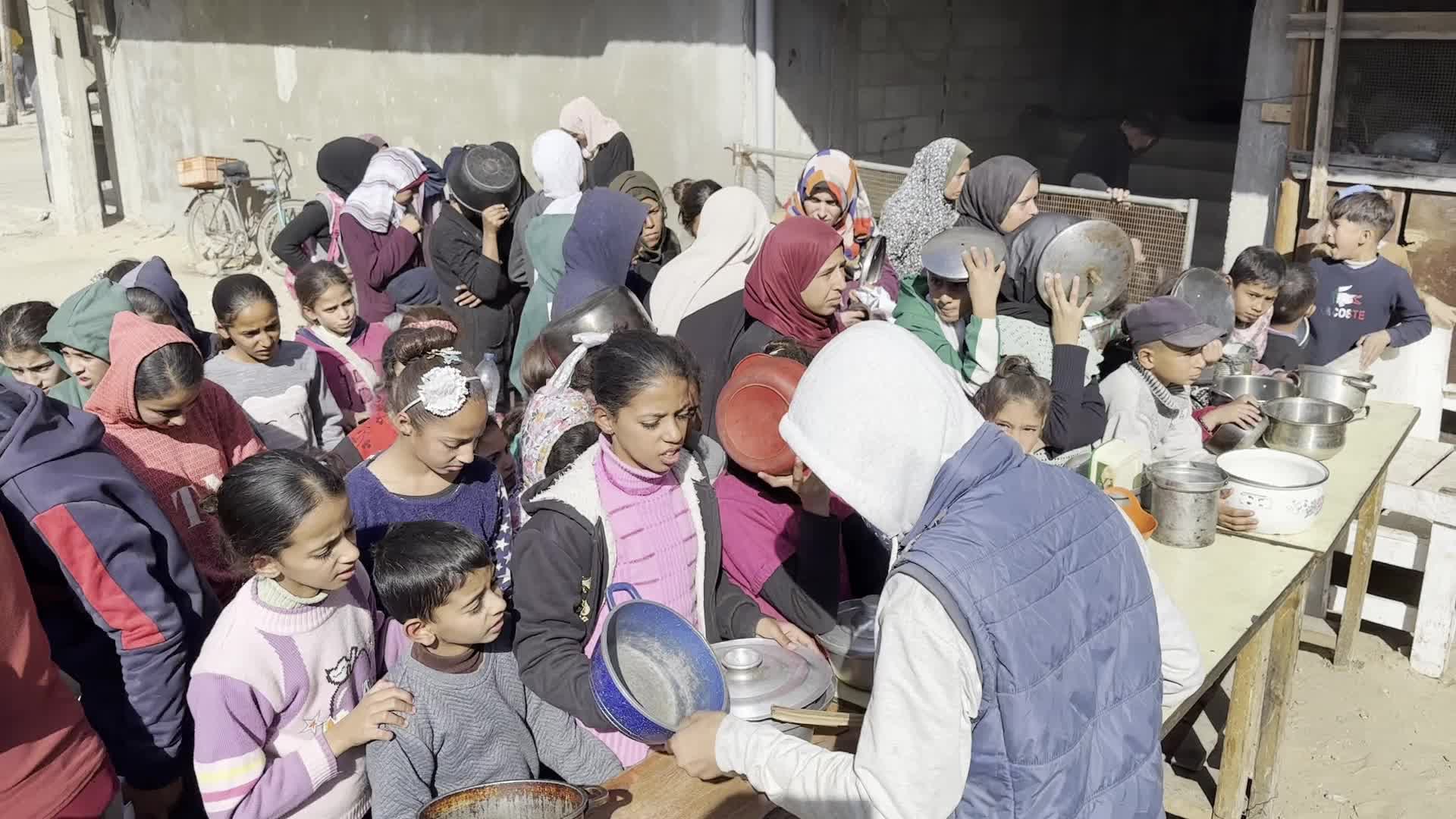 Food Aid in Gaza Amid Hunger Crisis