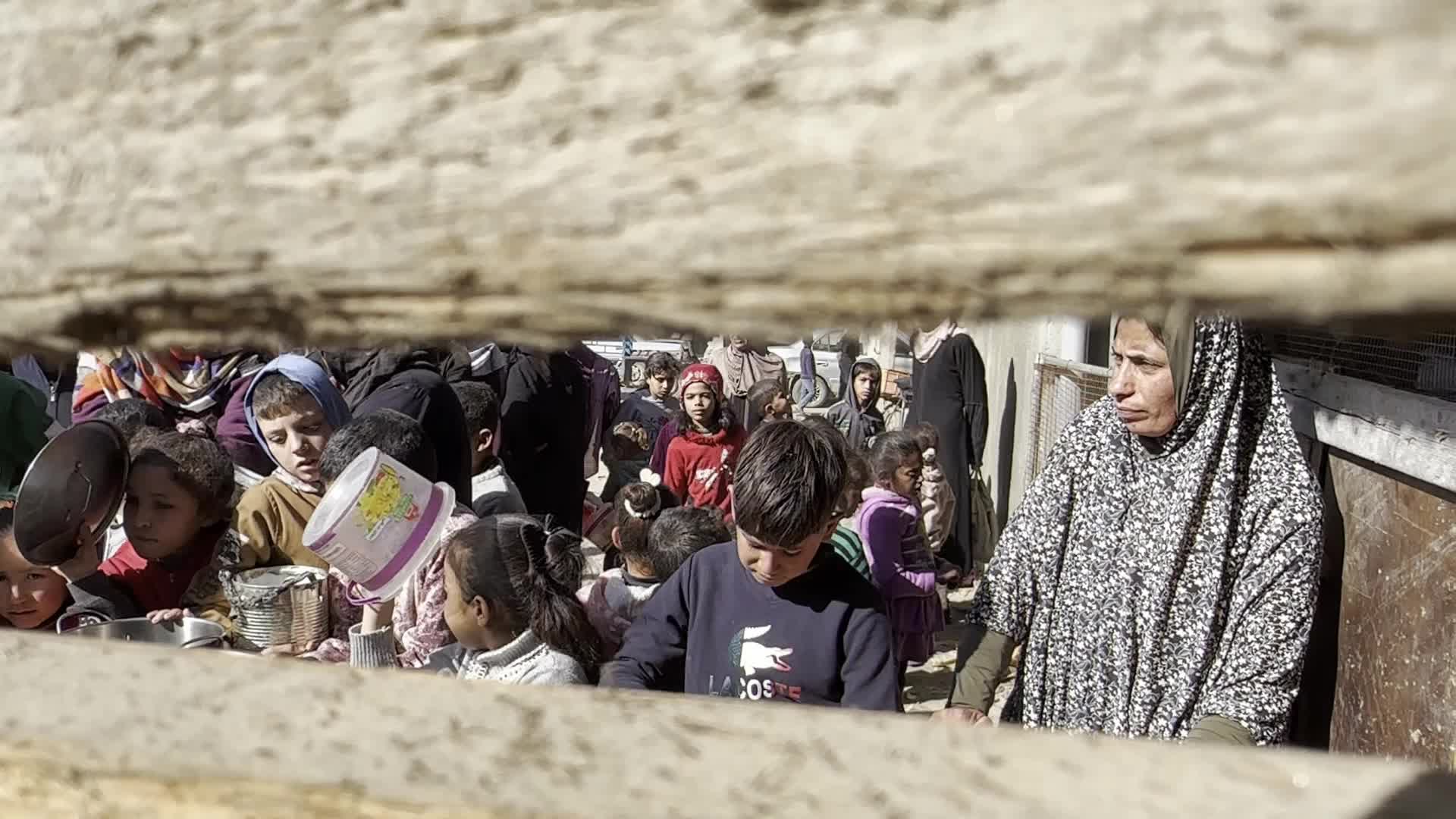 Food Aid in Gaza Amid Hunger Crisis
