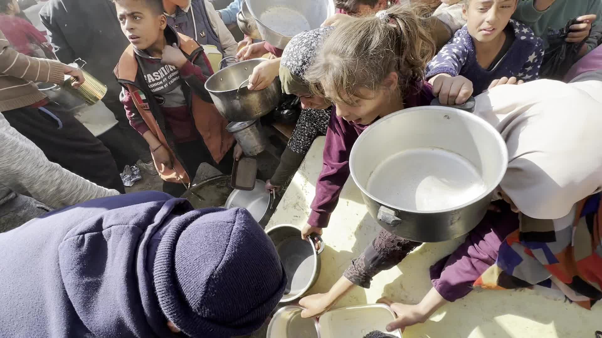 Food Aid in Gaza Amid Hunger Crisis