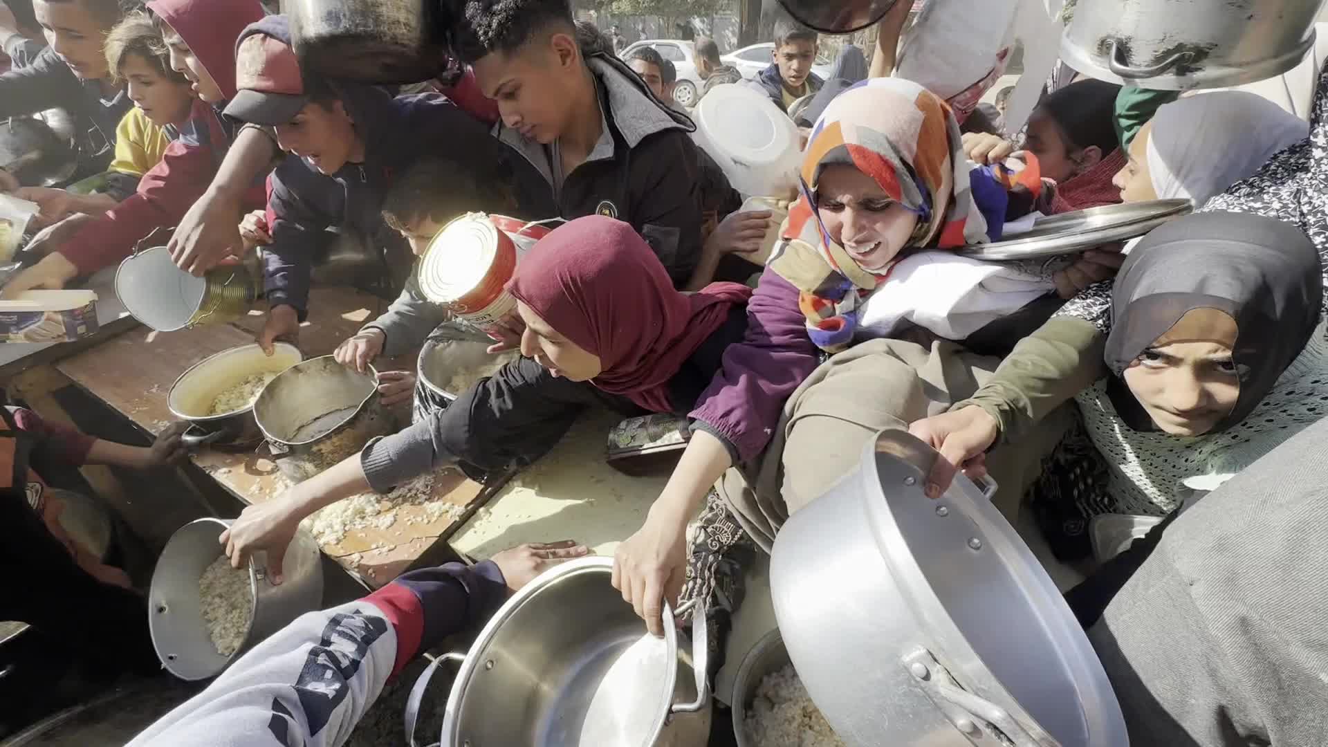 Food Aid in Gaza Amid Hunger Crisis