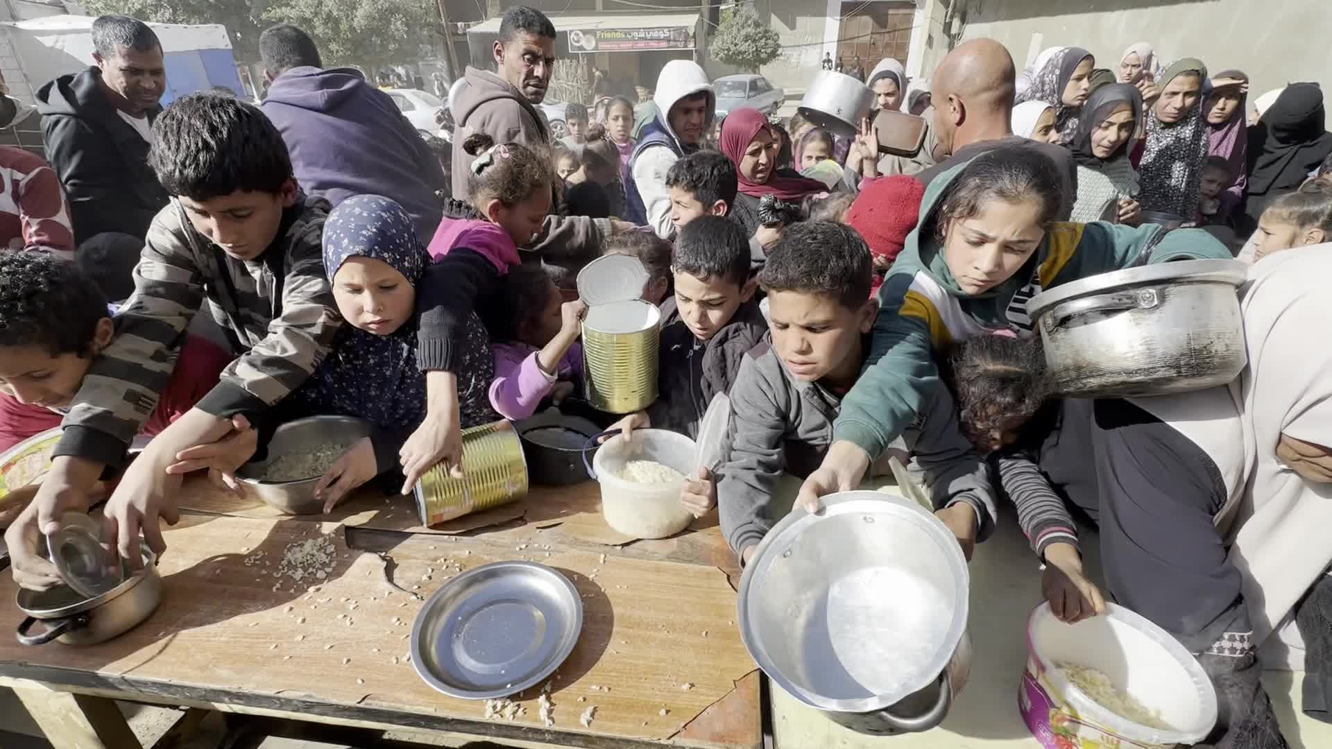 Food Aid in Gaza Amid Hunger Crisis