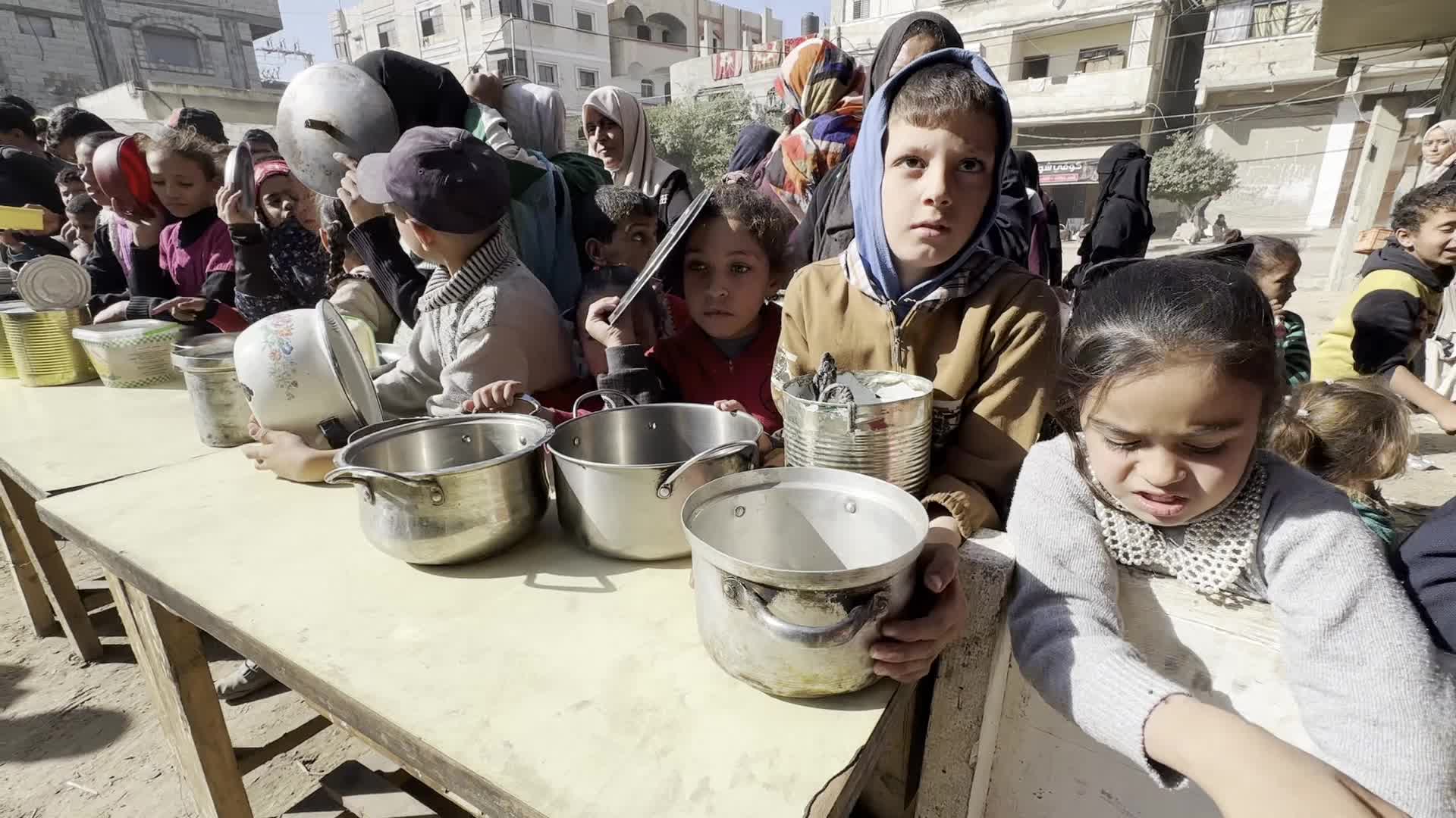 Food Aid in Gaza Amid Hunger Crisis