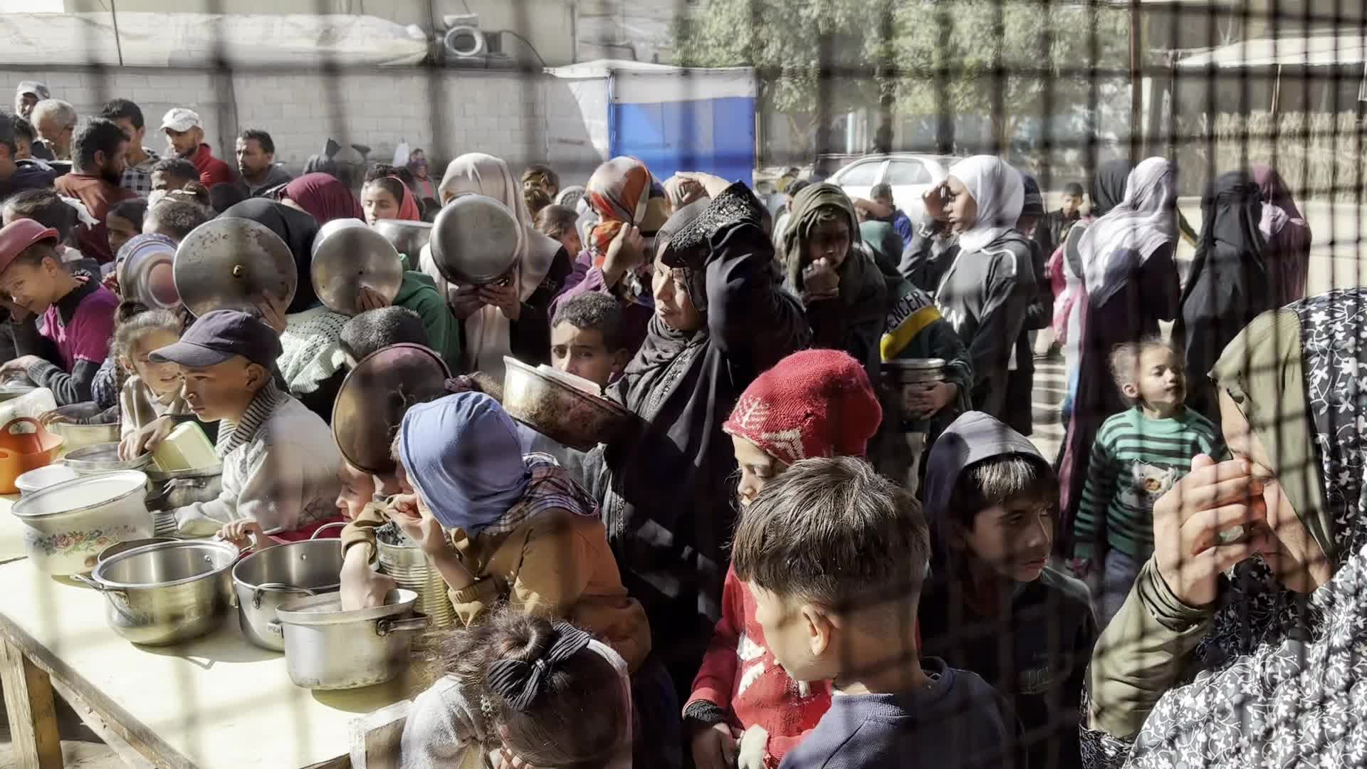Food Aid in Gaza Amid Hunger Crisis