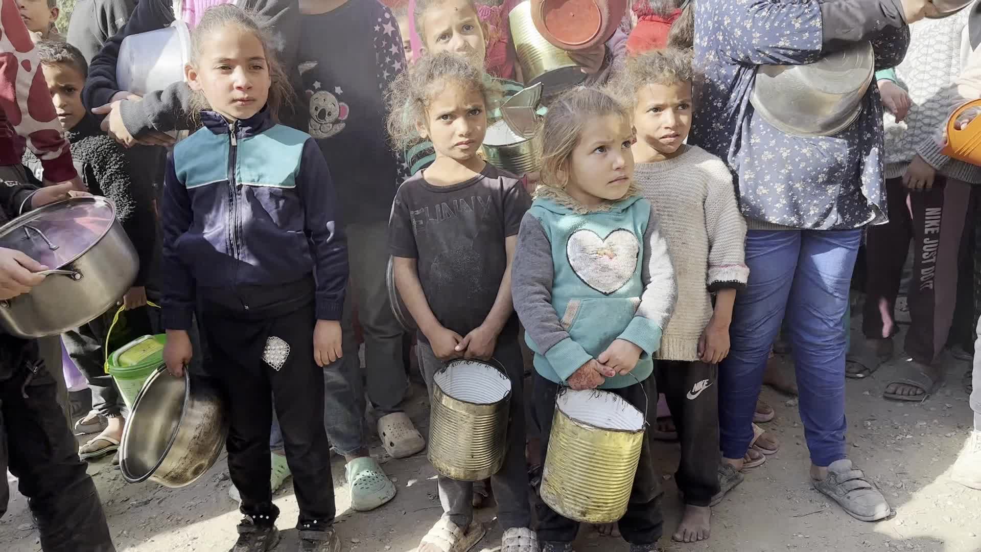 Food Aid in Gaza Amid Hunger Crisis