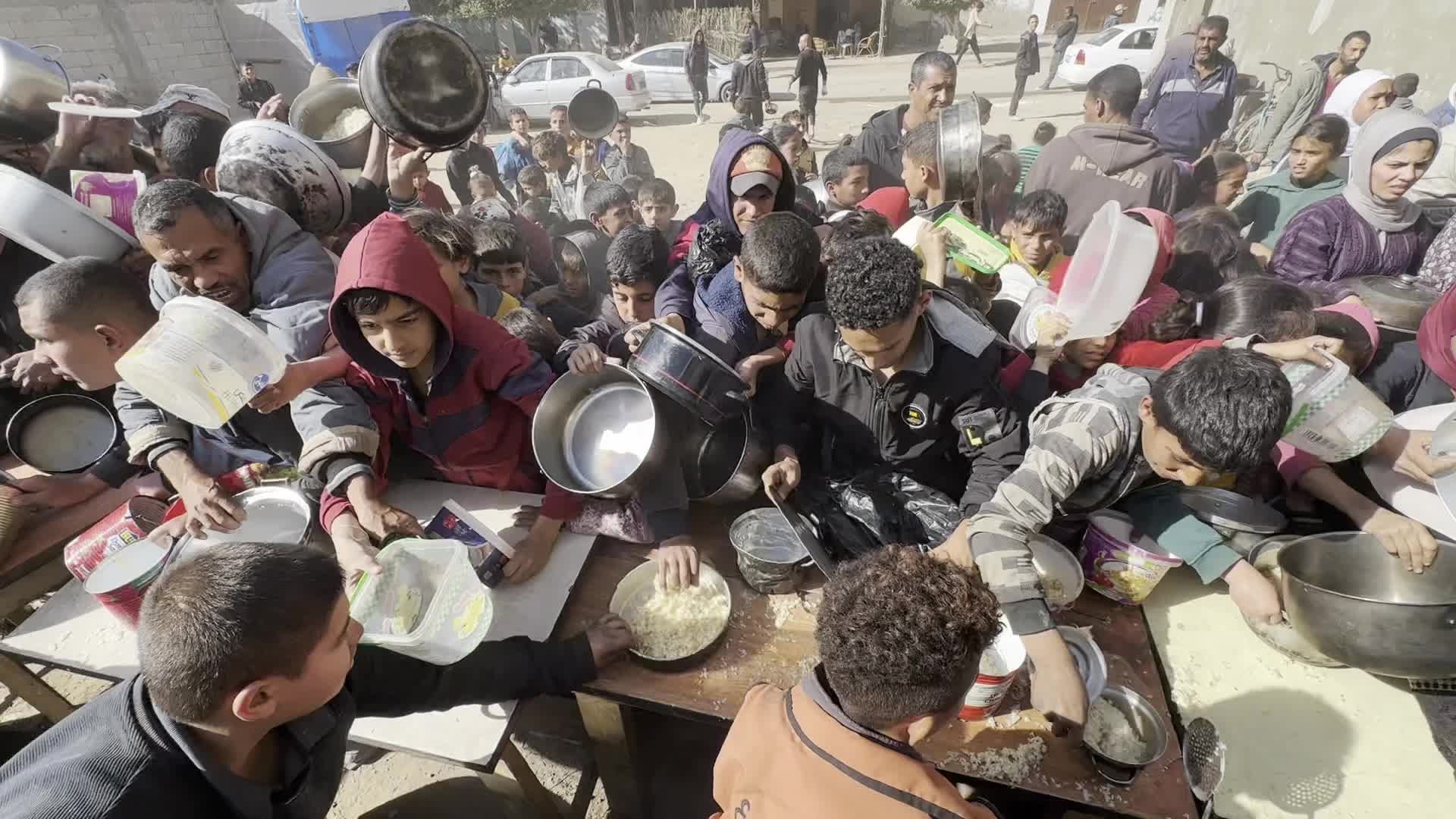 Food Aid in Gaza Amid Hunger Crisis