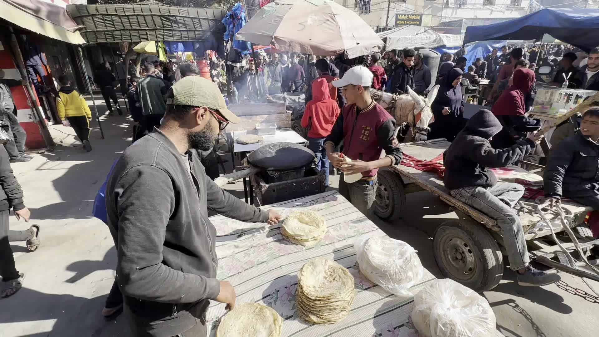 Residents Shop for Vegetables in Deir al-Balah Amid Ongoing Gaza Conflict