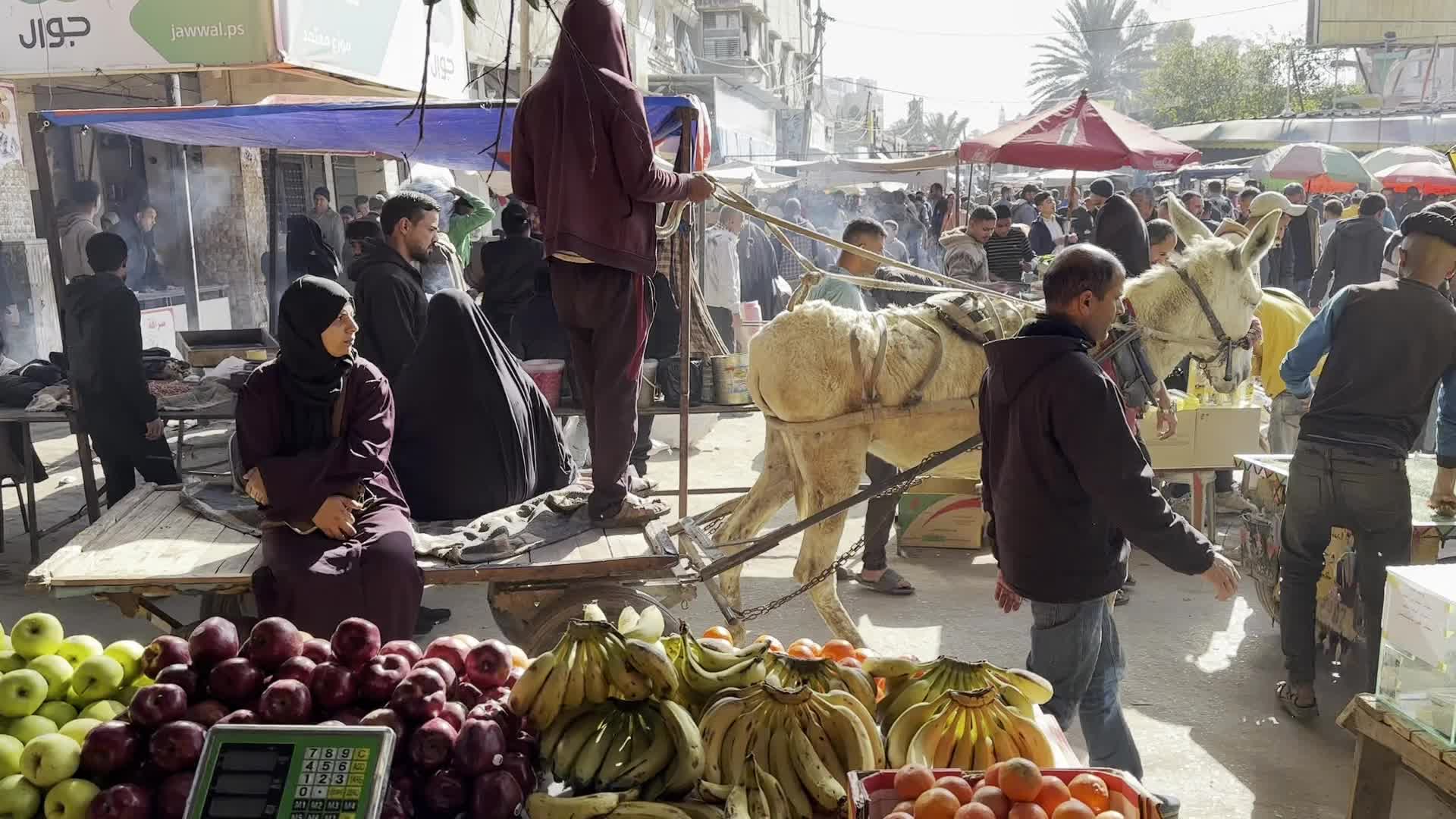 Residents Shop for Vegetables in Deir al-Balah Amid Ongoing Gaza Conflict