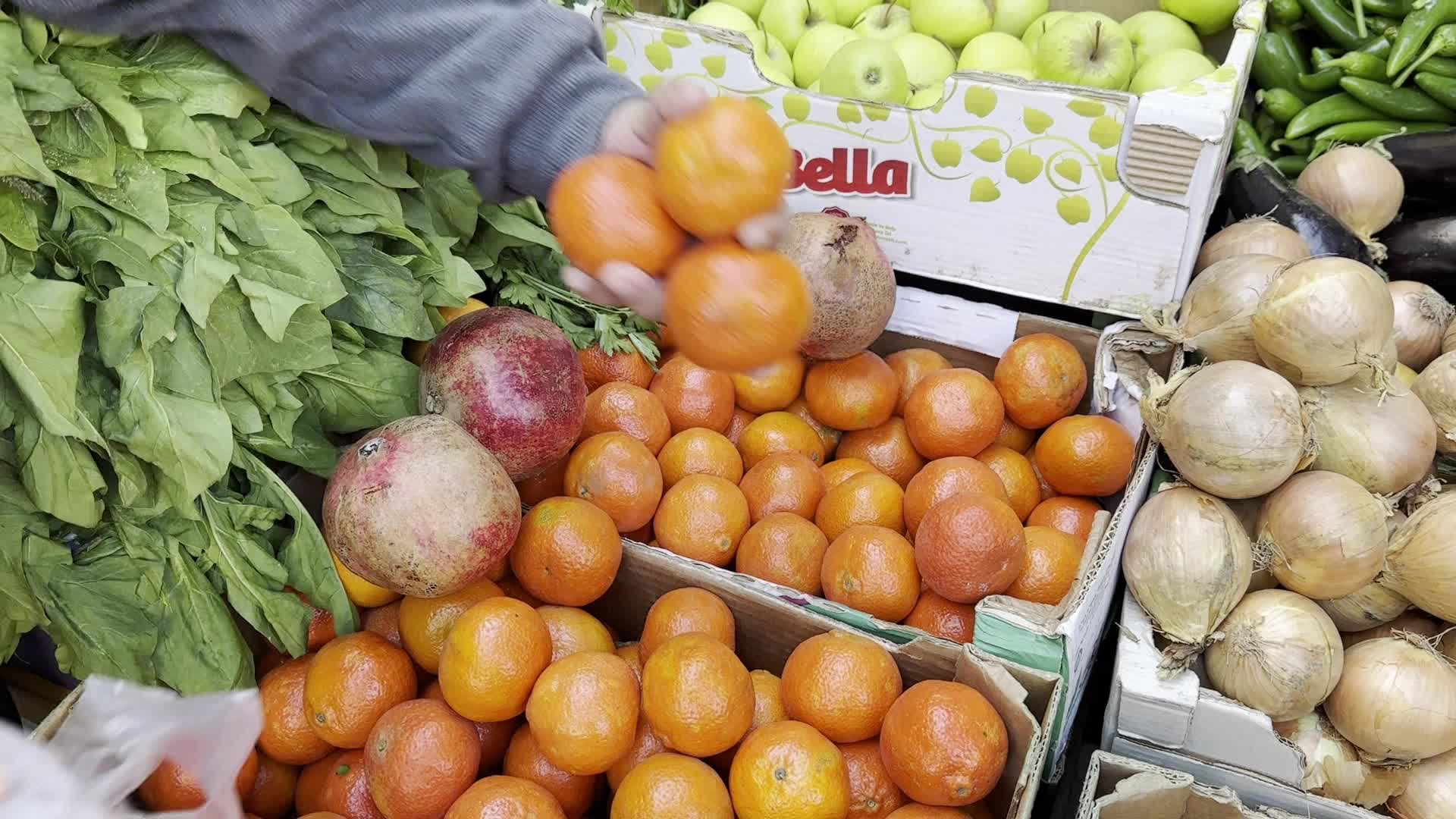 Residents Shop for Vegetables in Deir al-Balah Amid Ongoing Gaza Conflict