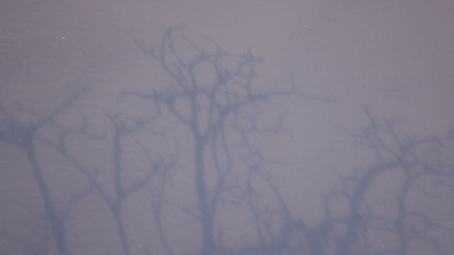 Toronto gets hit by winter snowstorm