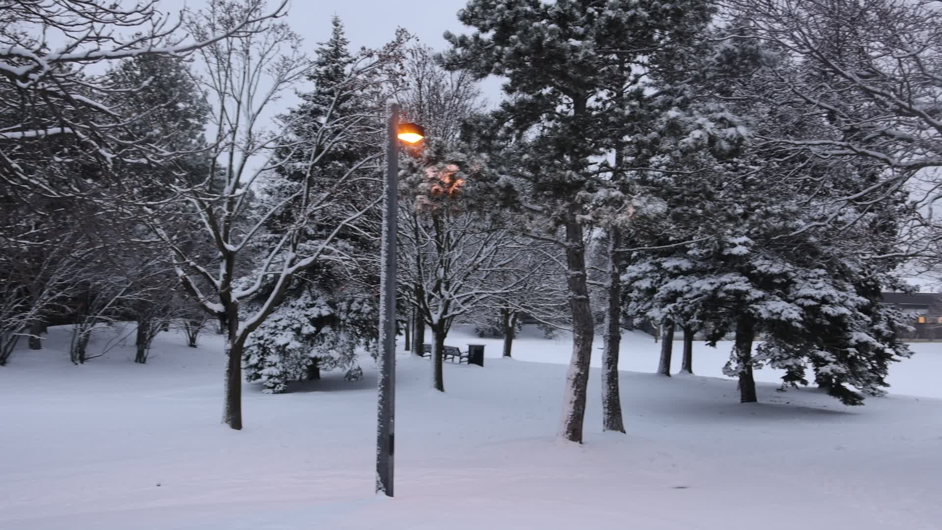 Toronto gets hit by winter snowstorm