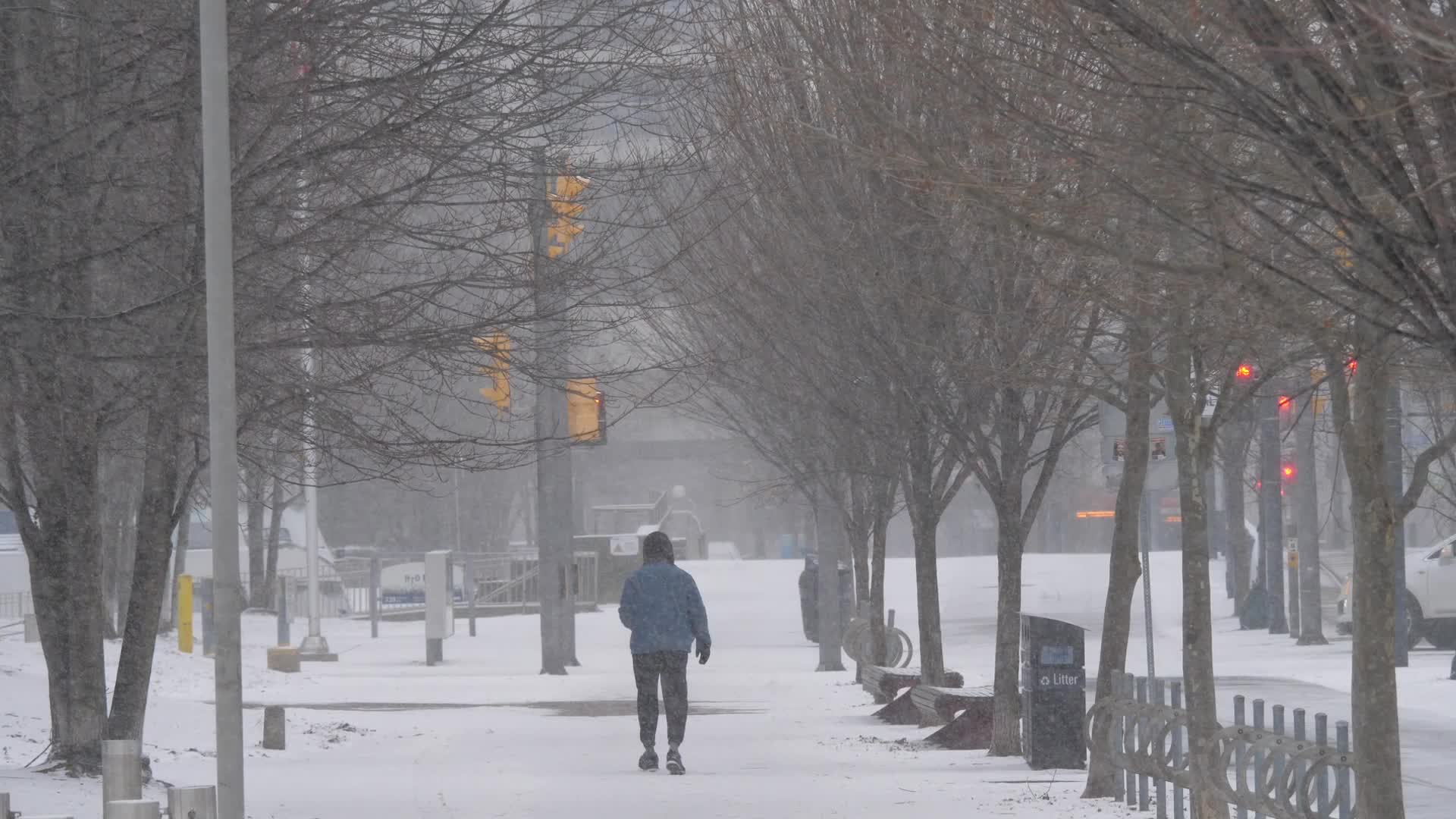 Snowy day in Toronto, Canada