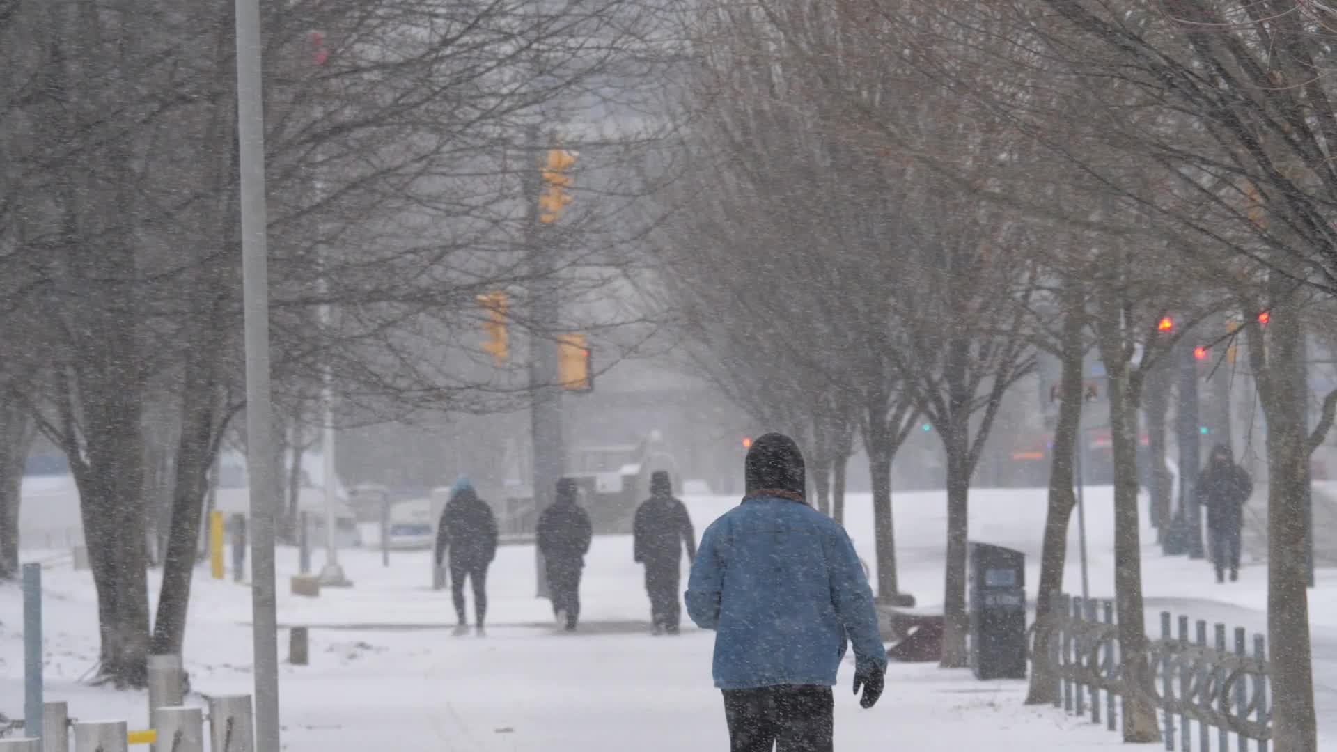 Snowy day in Toronto, Canada