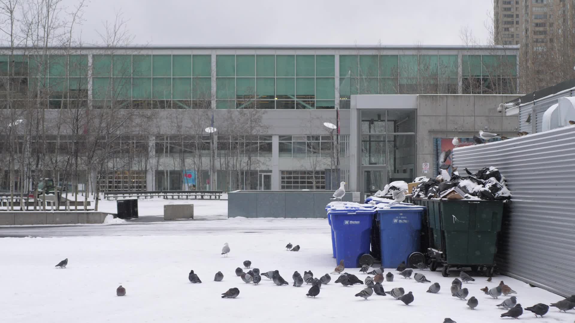 Snowy day in Toronto, Canada