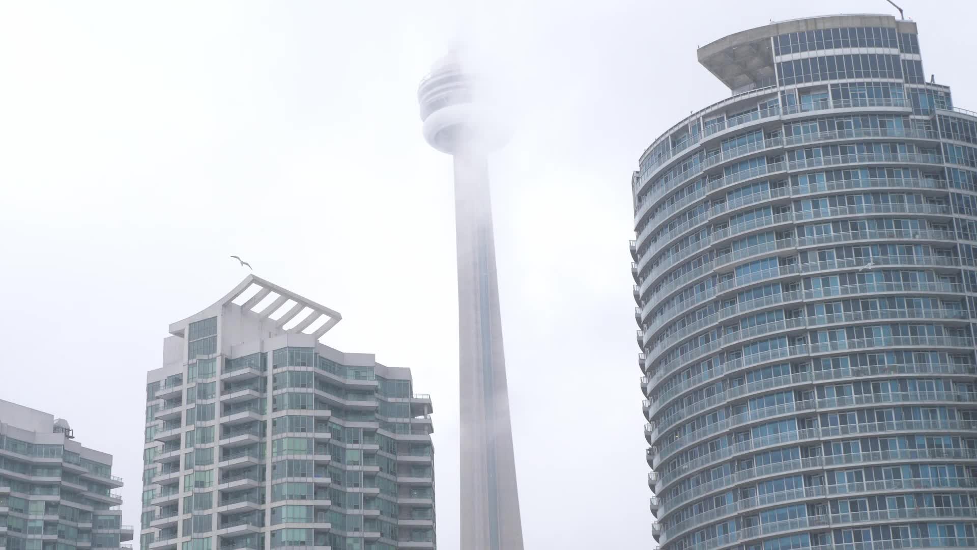 Snowy day in Toronto, Canada