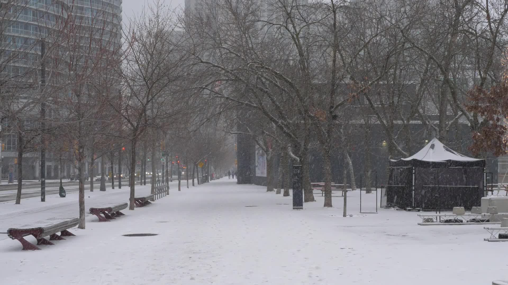 Snowy day in Toronto, Canada