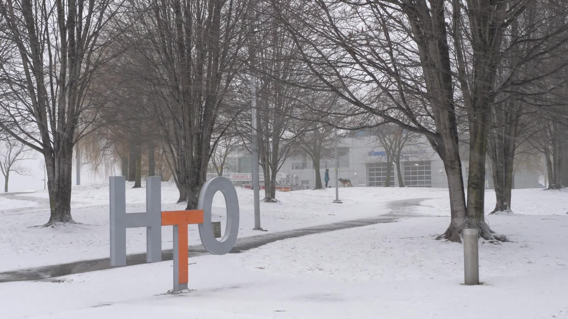 Snowy day in Toronto, Canada
