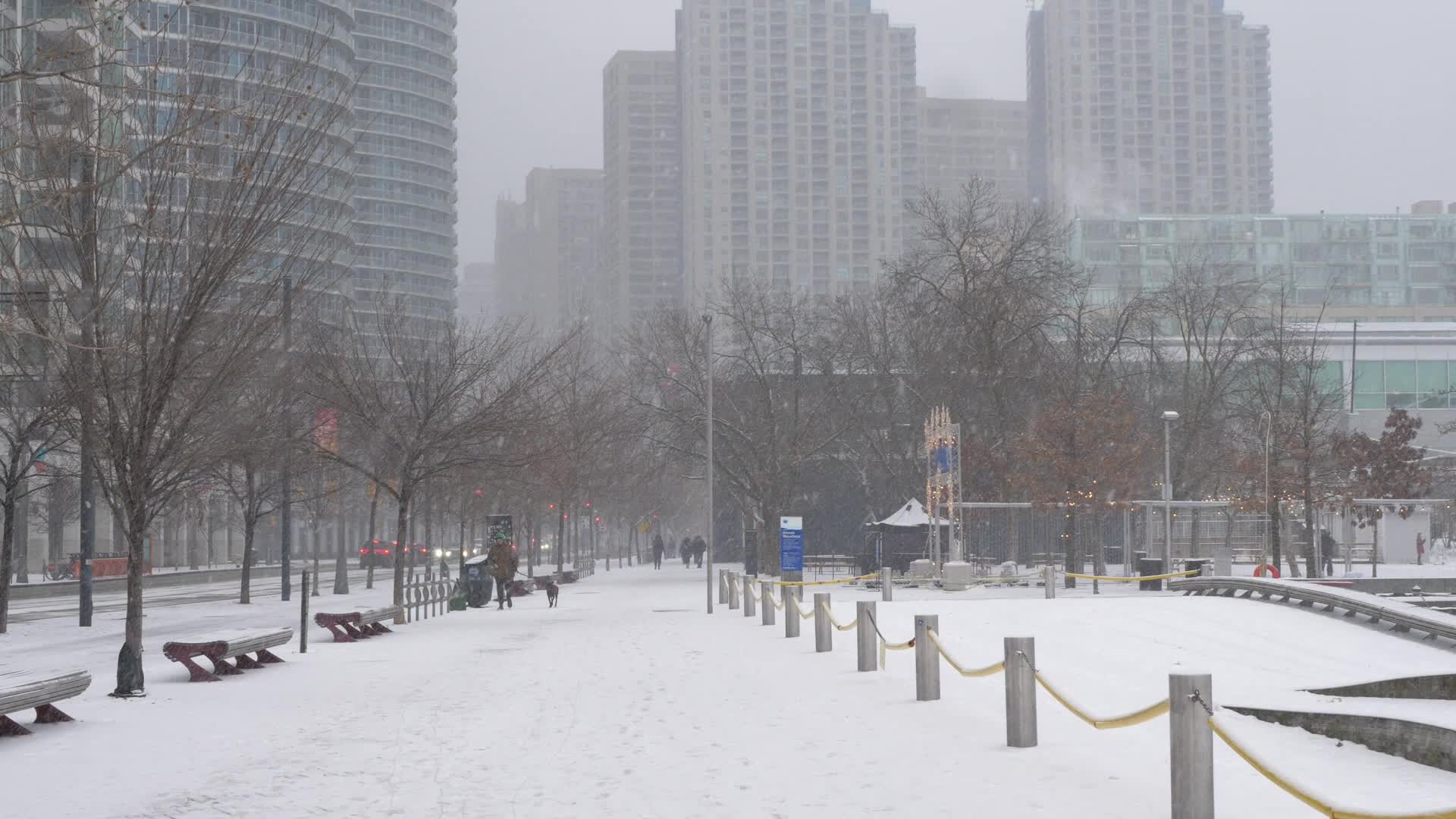 Snowy day in Toronto, Canada