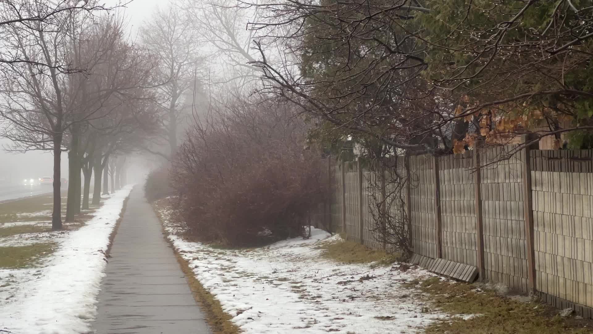 Cold and rainy foggy morning in Toronto, Canada