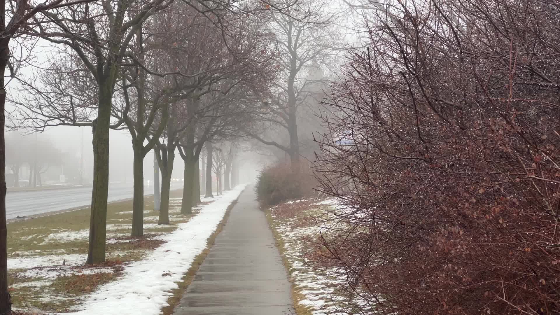Cold and rainy foggy morning in Toronto, Canada
