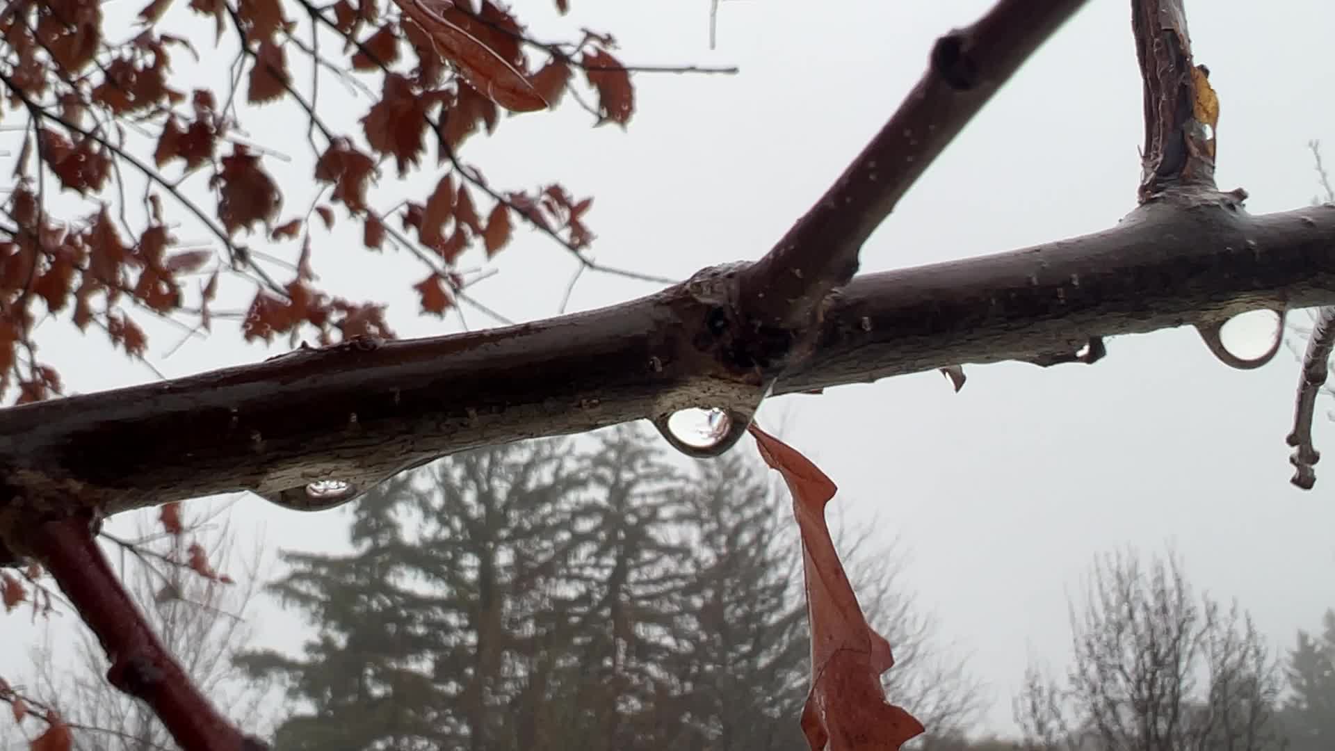 Cold and rainy foggy morning in Toronto, Canada