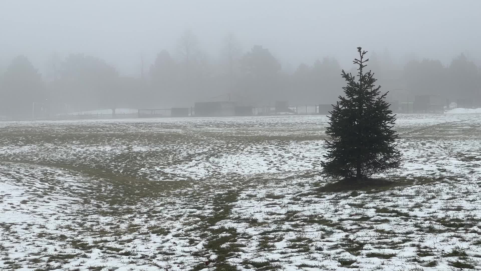 Cold and rainy foggy morning in Toronto, Canada