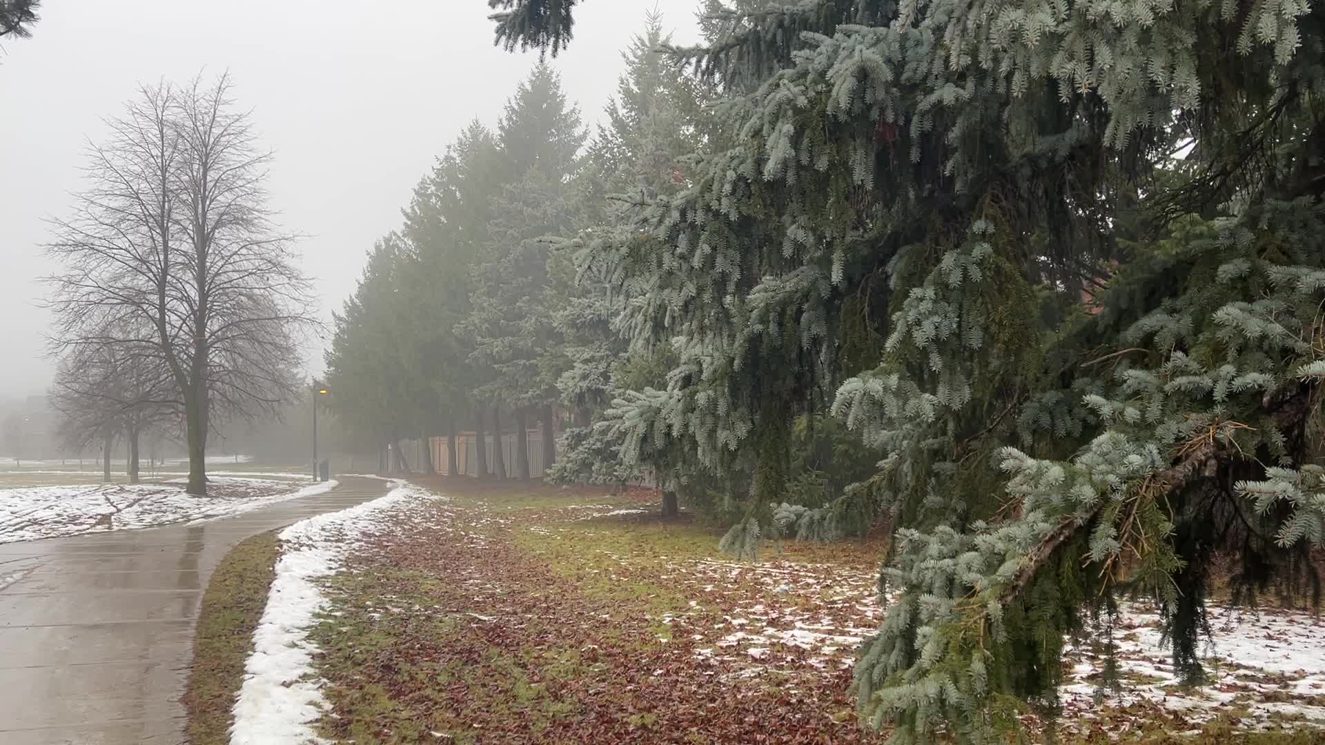 Cold and rainy foggy morning in Toronto, Canada