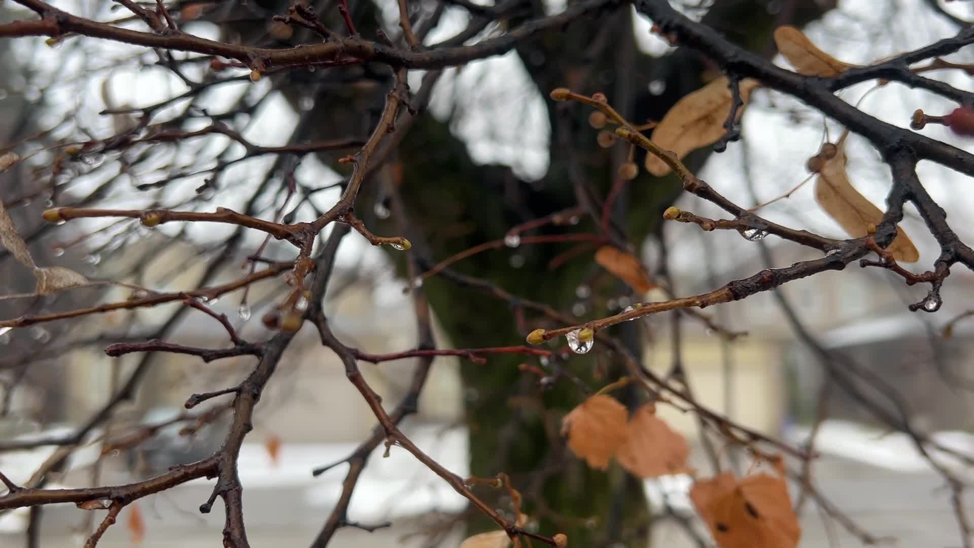 Cold and rainy foggy morning in Toronto, Canada