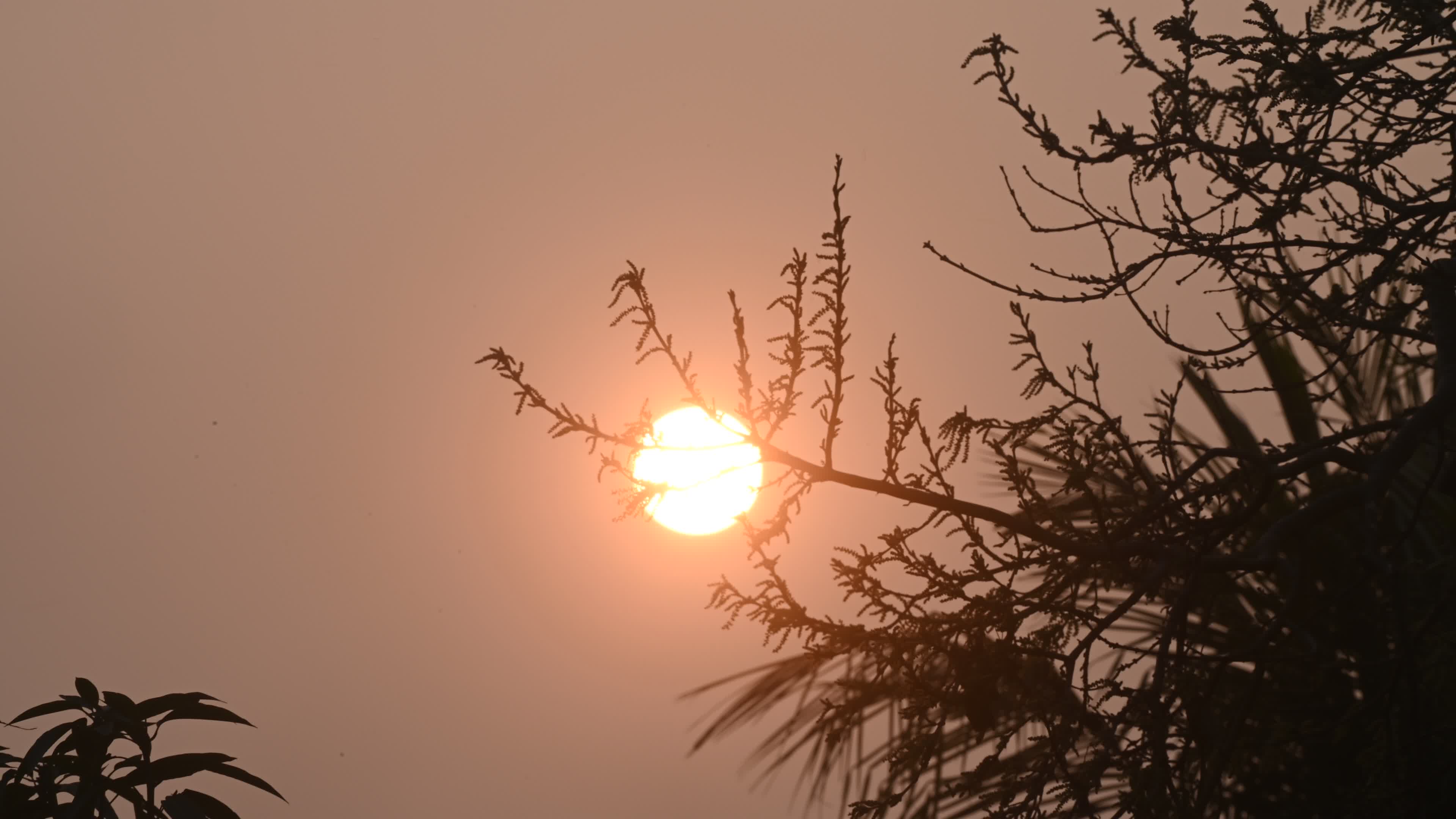 The last sunset of the year - 2024