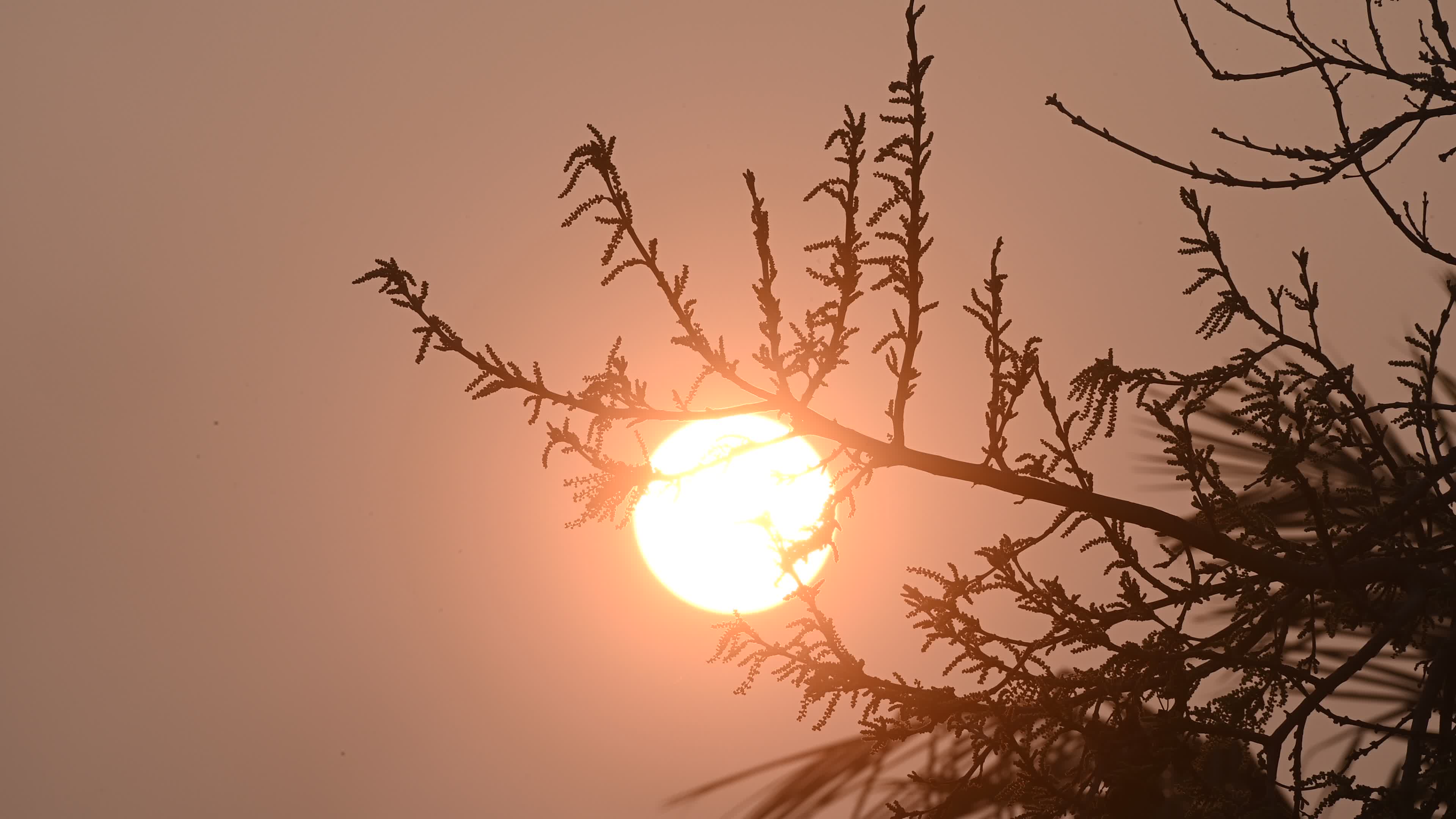 The last sunset of the year - 2024