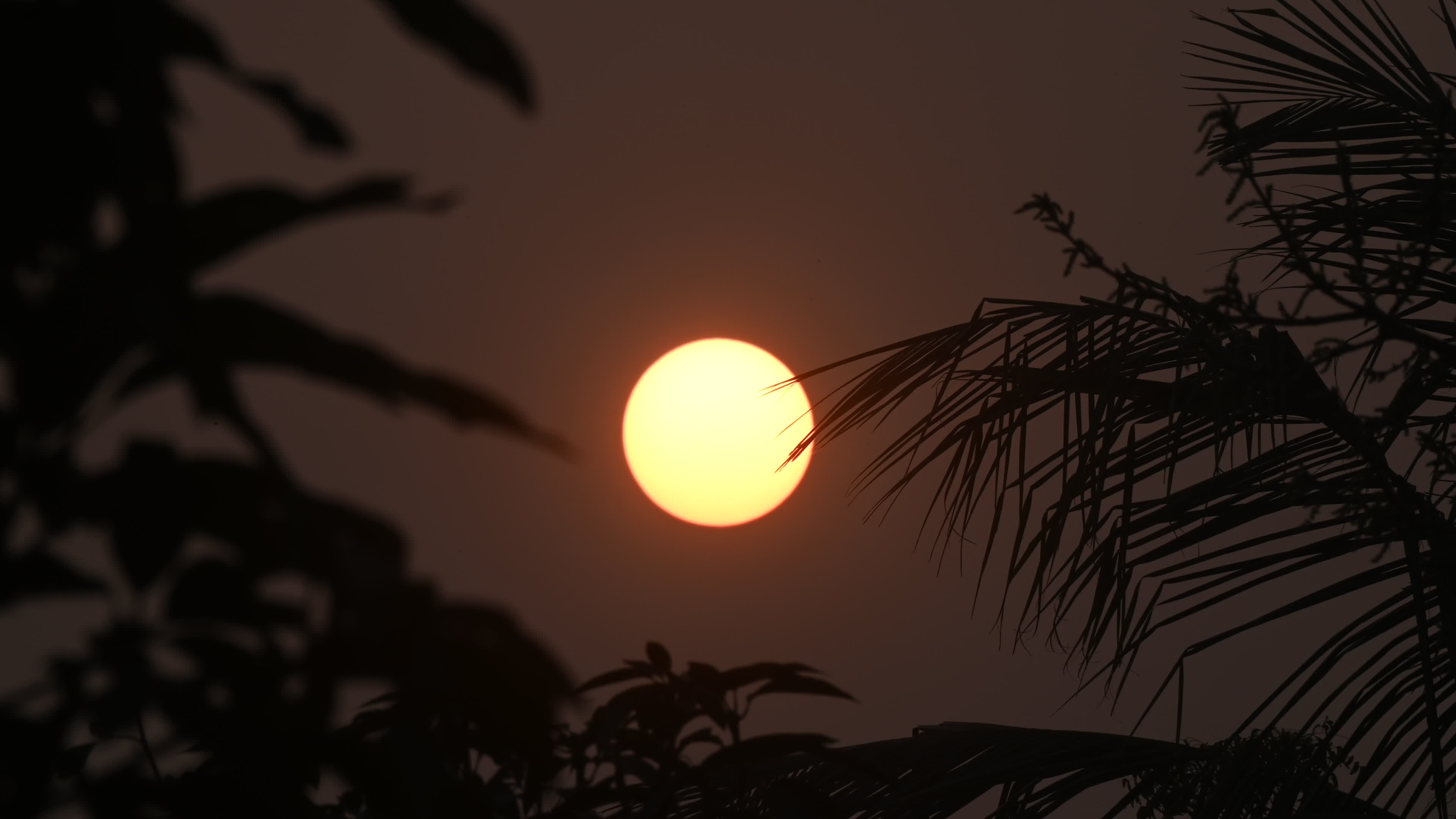 The last sunset of the year - 2024