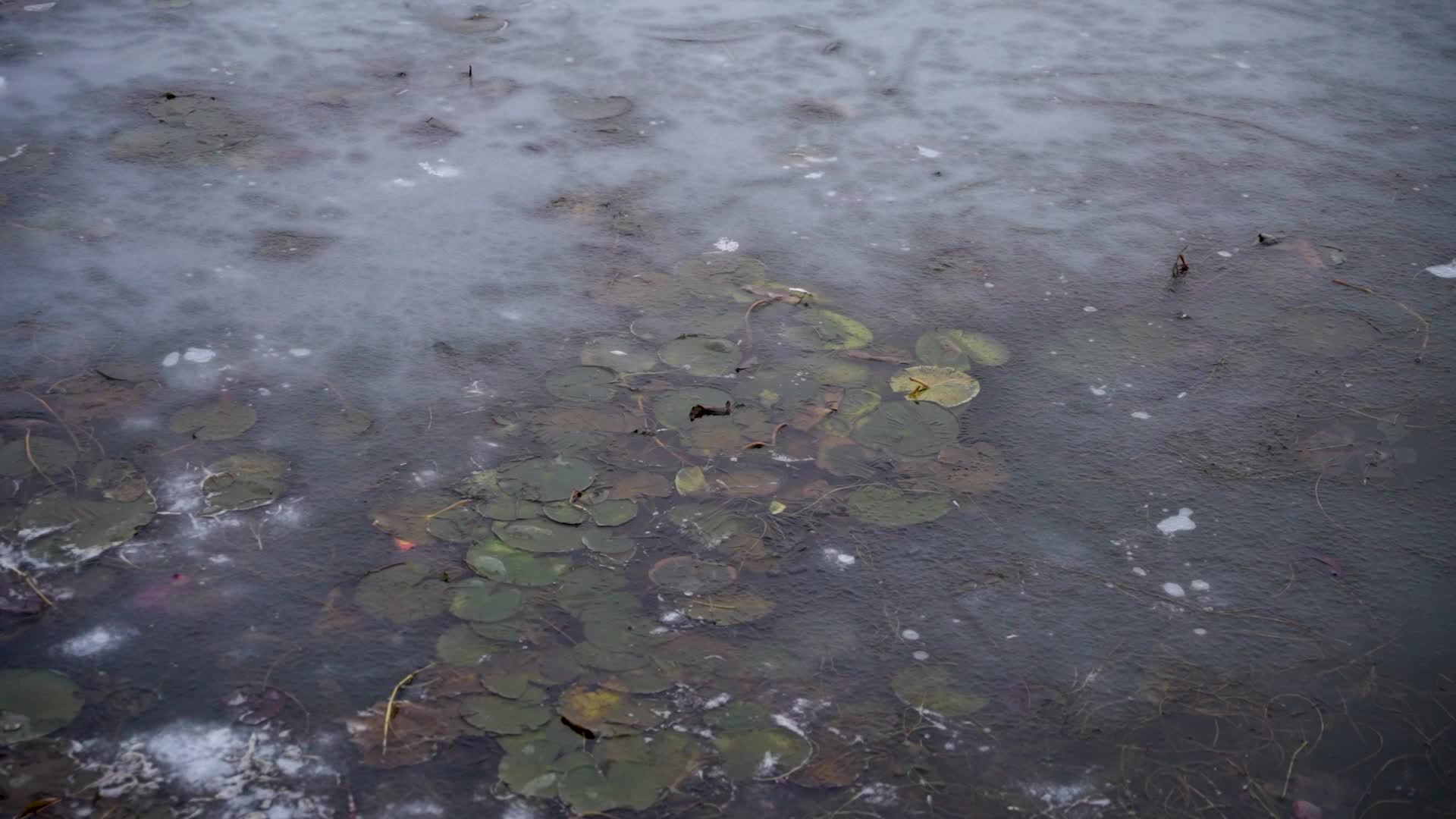 Severe cold wave in Srinagar, India - 01 Jan 2025