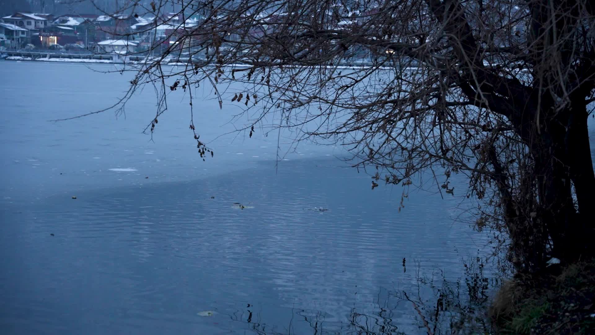 Severe cold wave in Srinagar, India - 01 Jan 2025