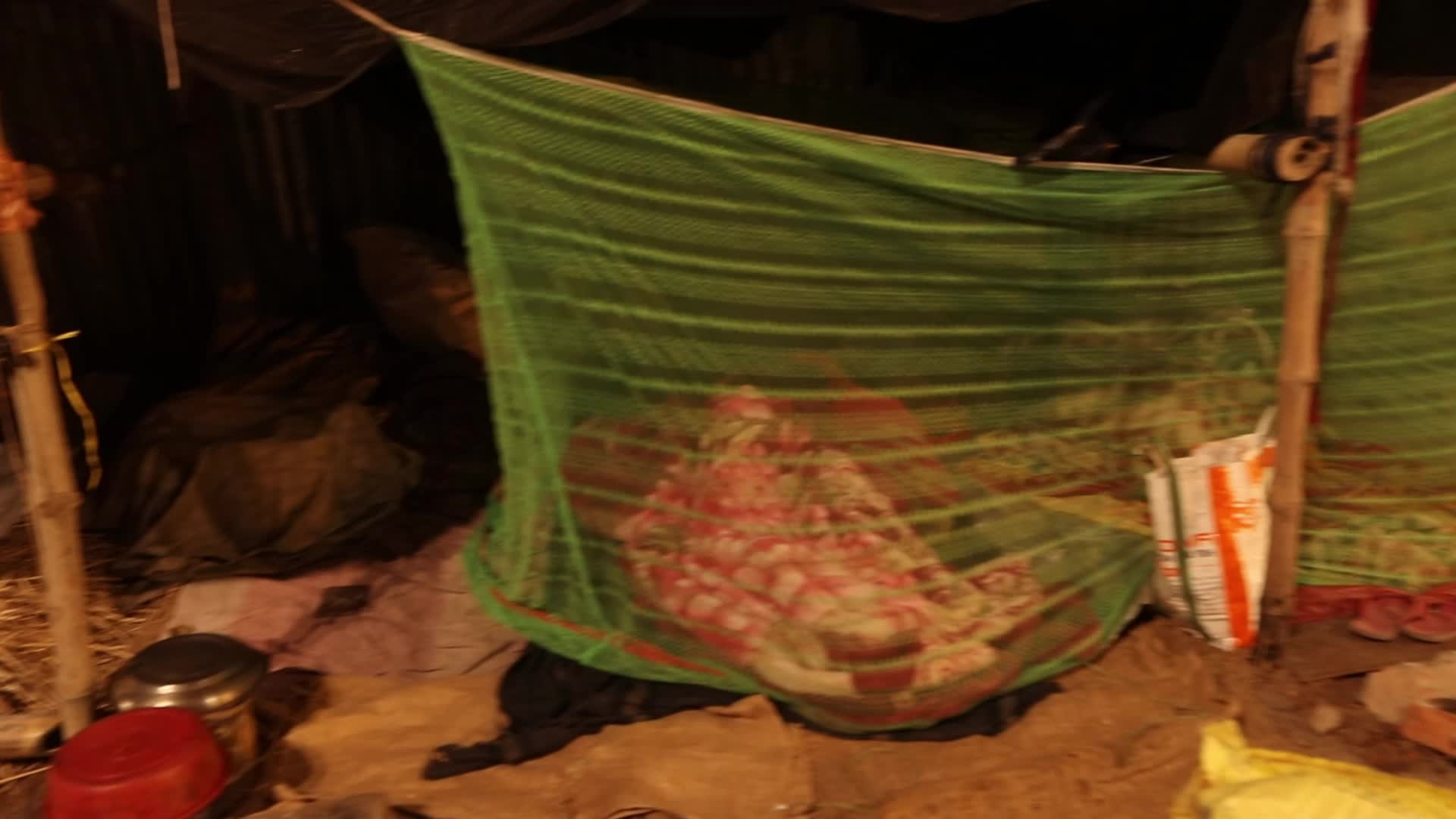 Makar Sankranti 2025