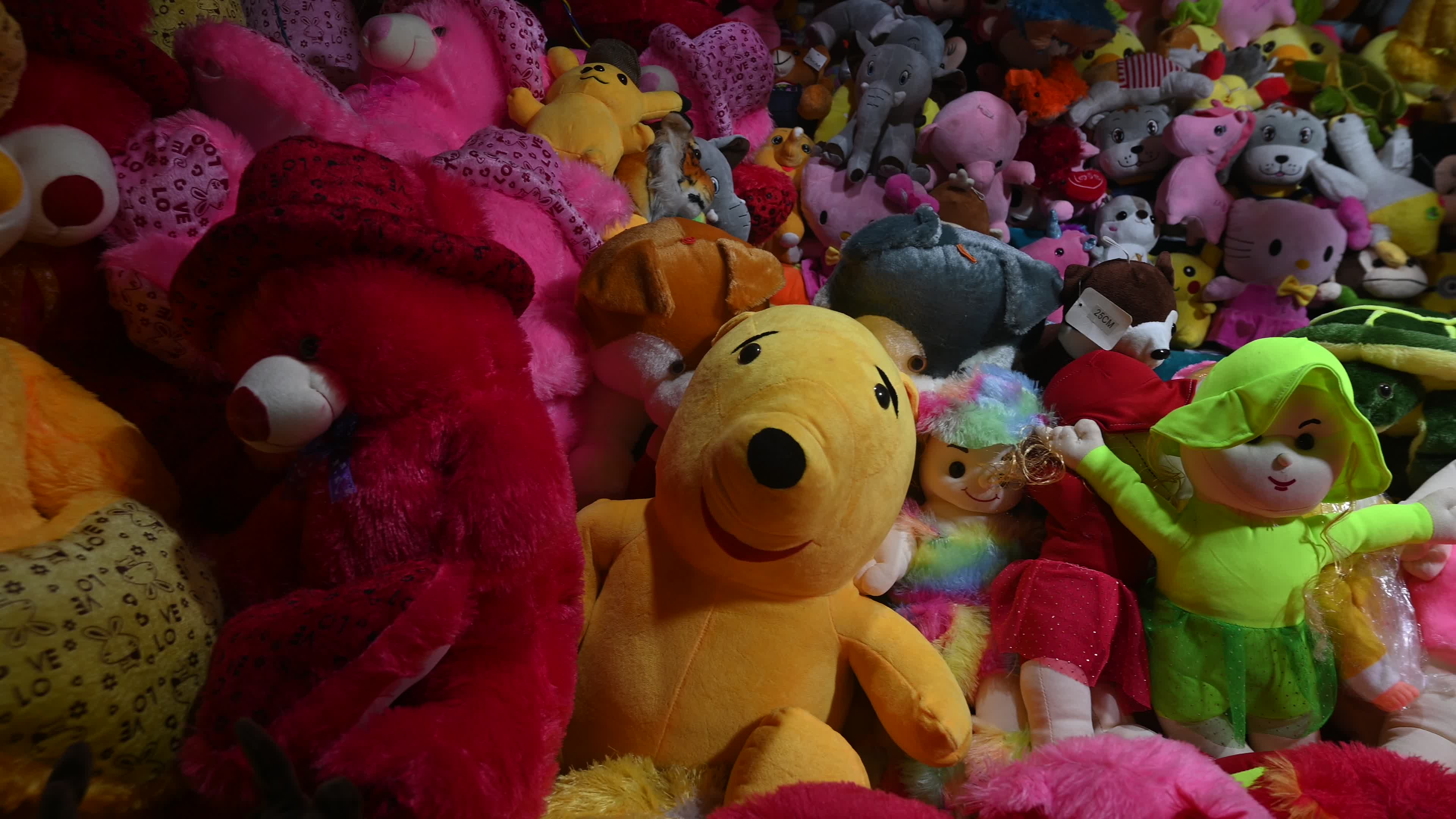 Doll shop - India
