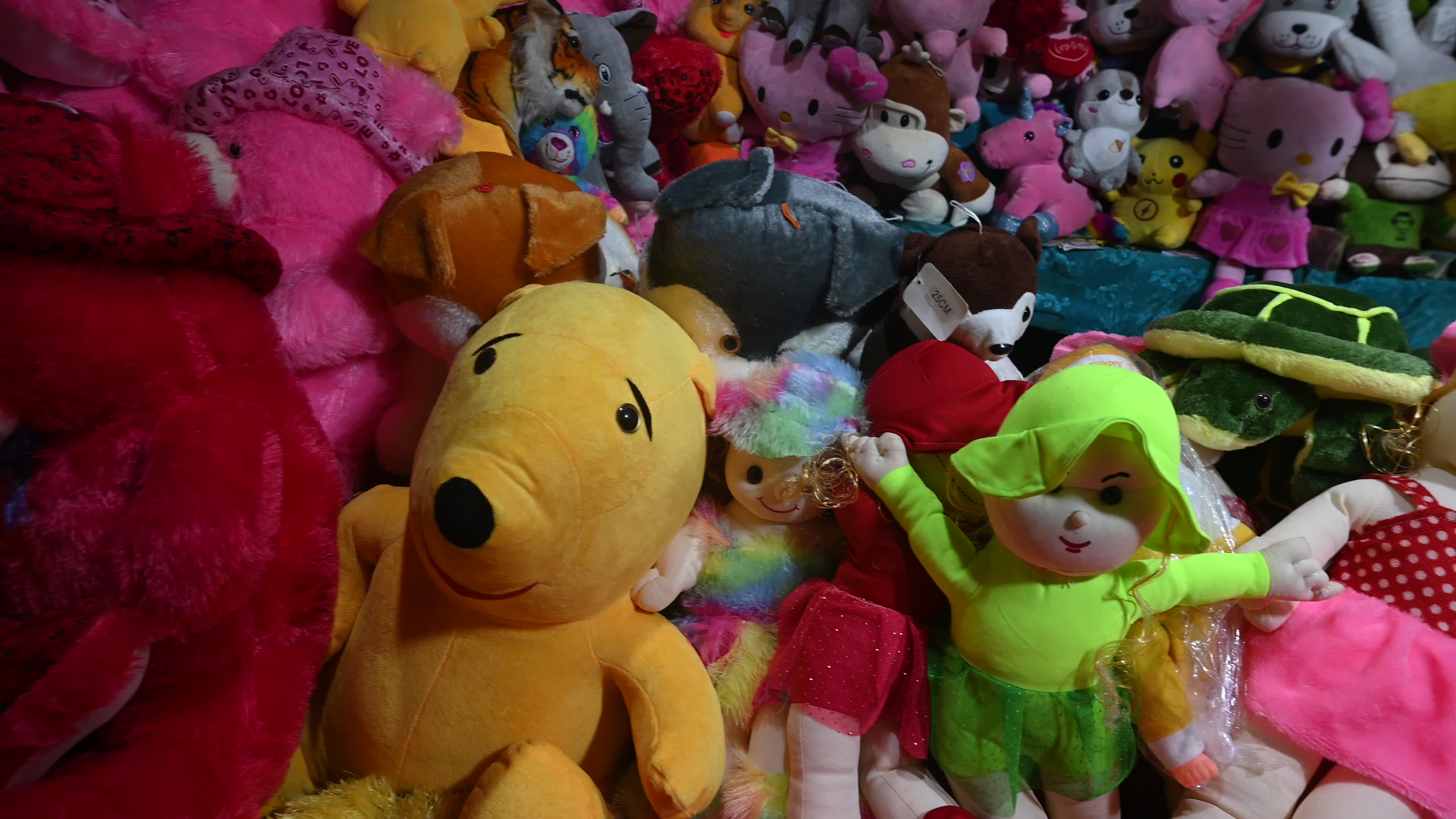 Doll shop - India
